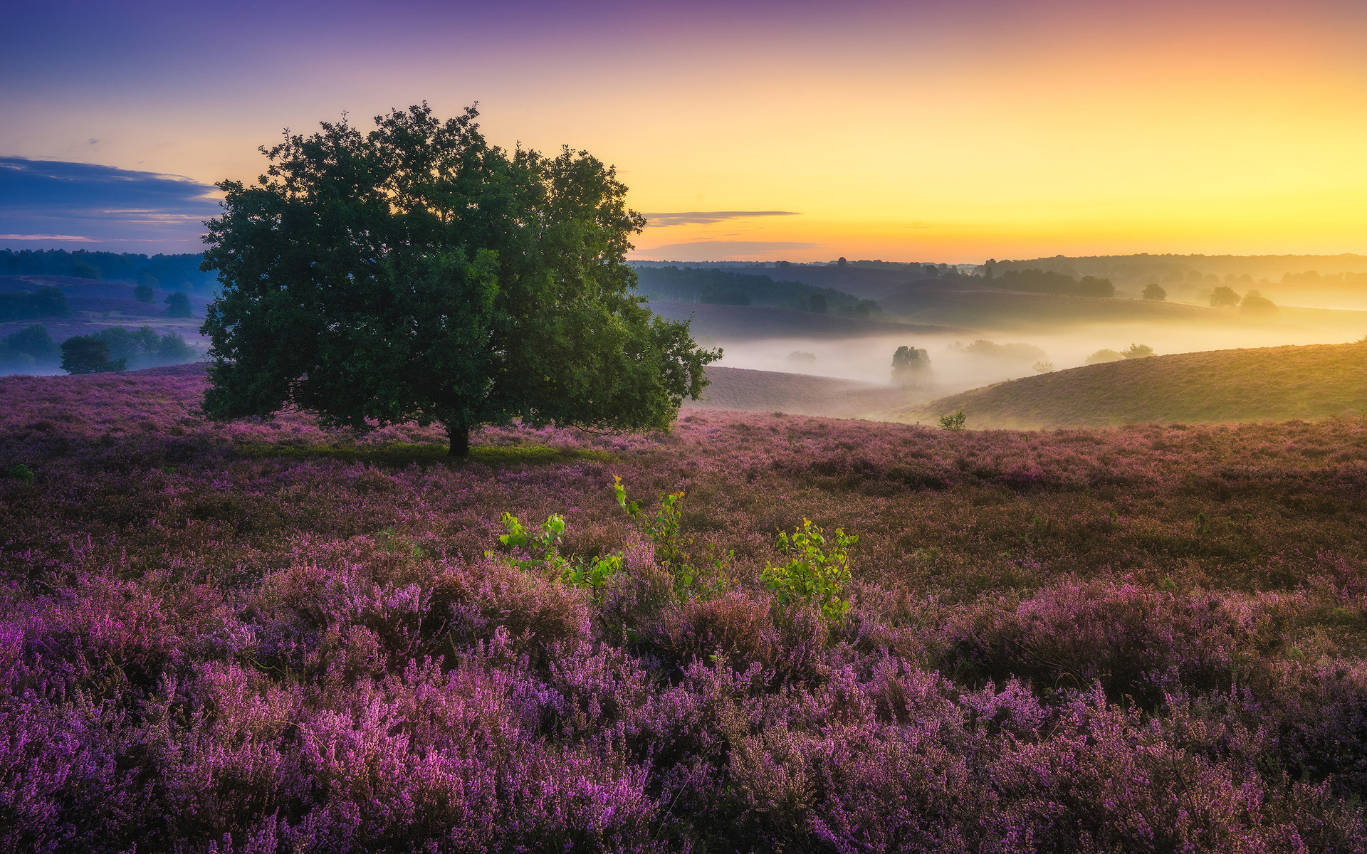 Netherlands Hills - HD Wallpaper 