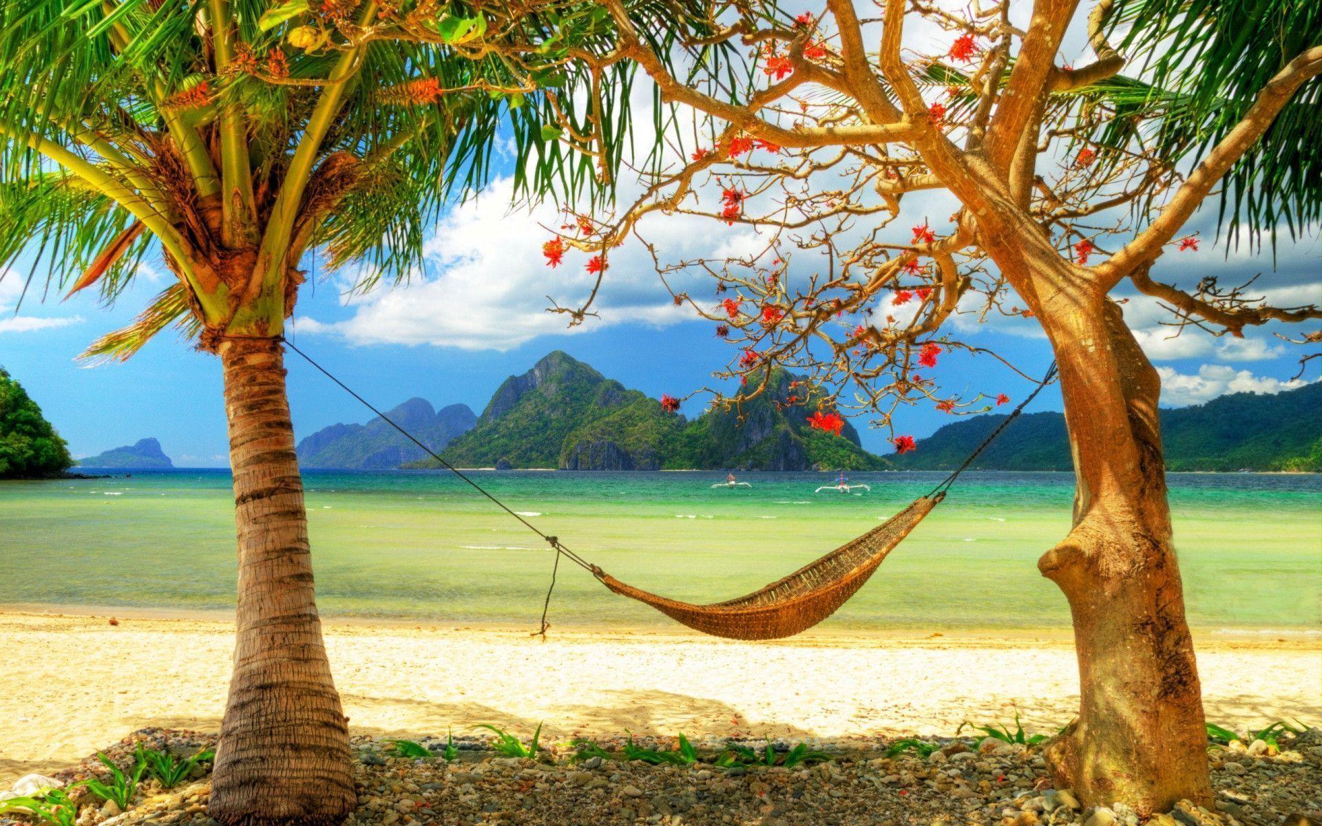 Relaxing In Summer - HD Wallpaper 