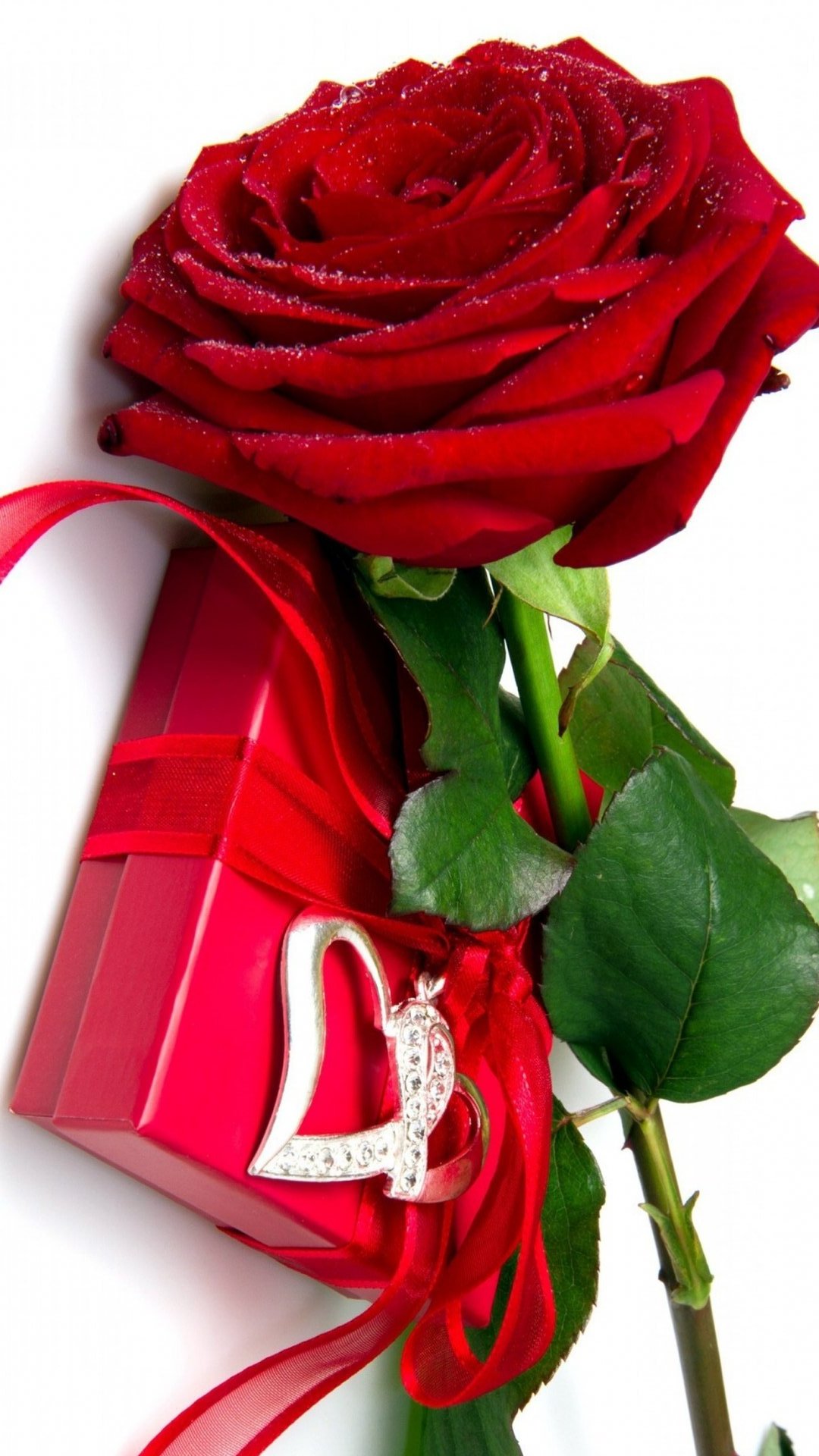 Red Rose Box Wallpaper Iphone Resolution - Love Good Morning Shayari - HD Wallpaper 