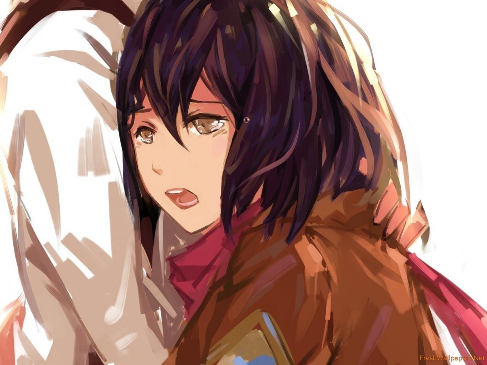 Mikasa Ackerman - HD Wallpaper 