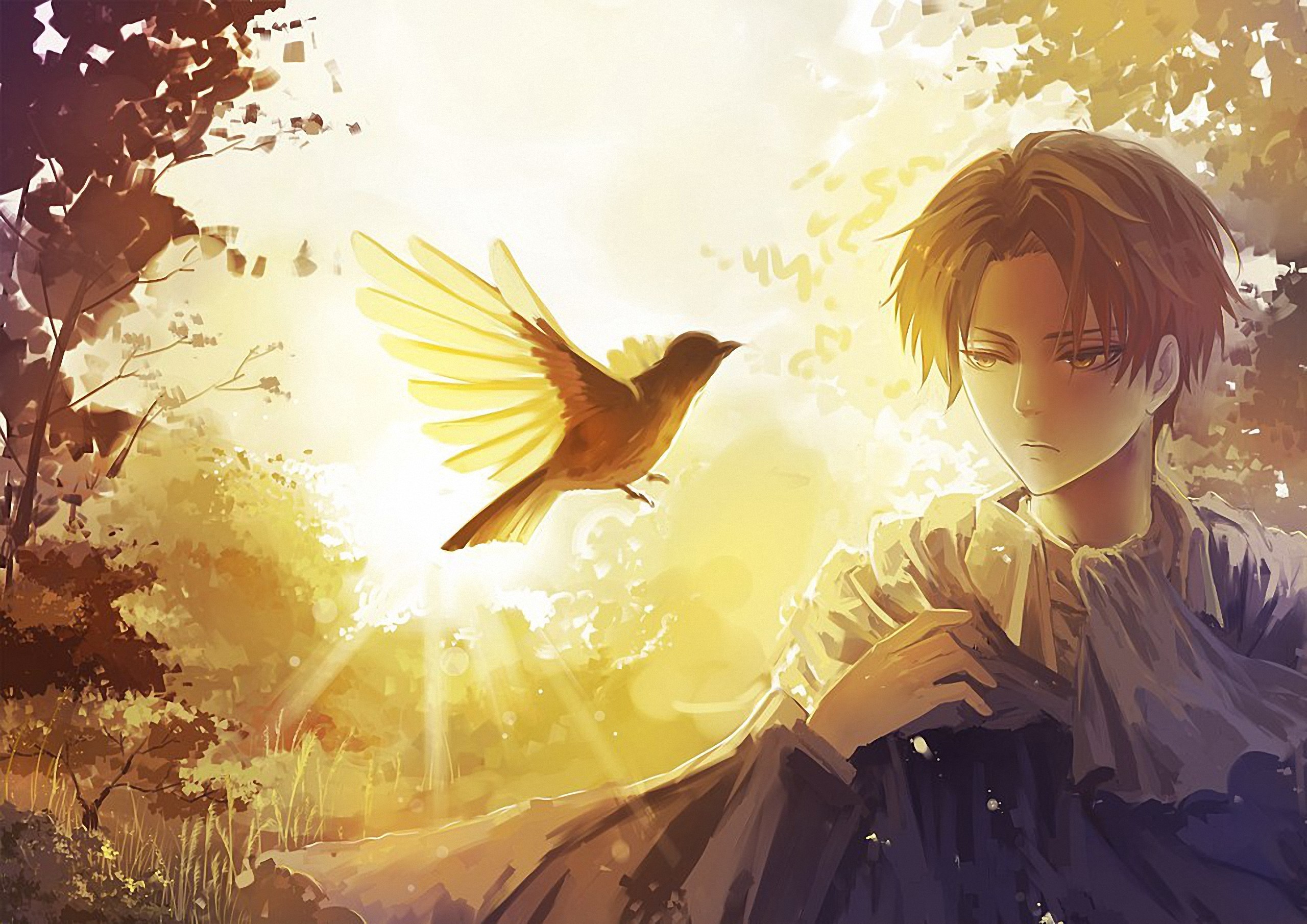 Attack On Titan Bird - HD Wallpaper 