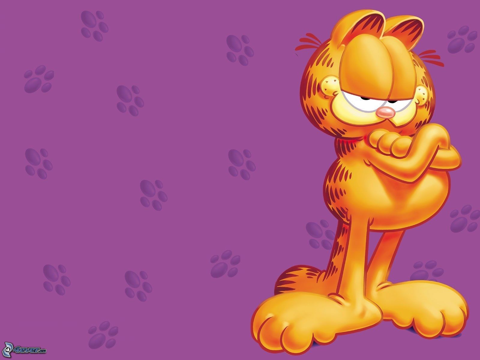 Garfield - 1600x1200 Wallpaper - teahub.io