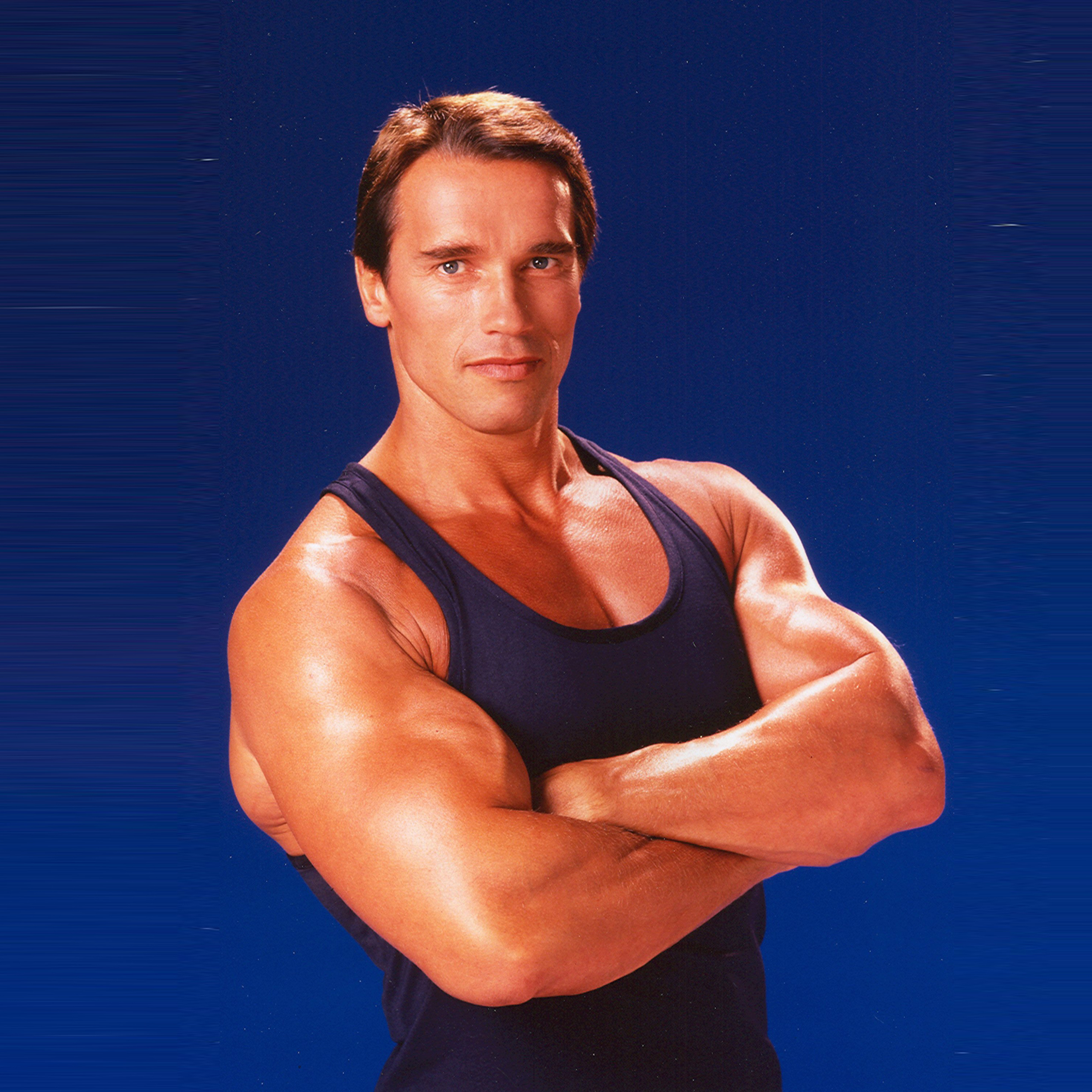 Arnold Schwarzenegger - HD Wallpaper 
