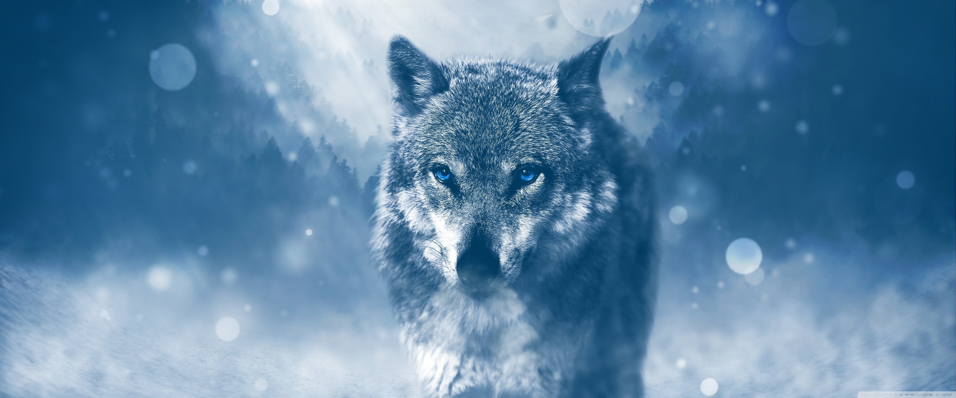 Wolf Background - 3840x1600 Wallpaper 