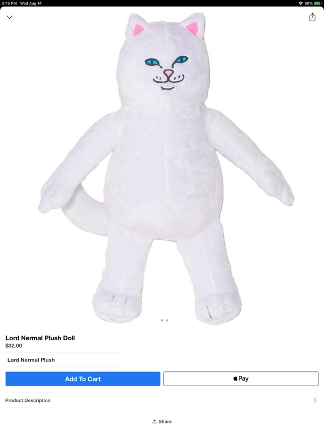 中指 貓 娃娃 - HD Wallpaper 