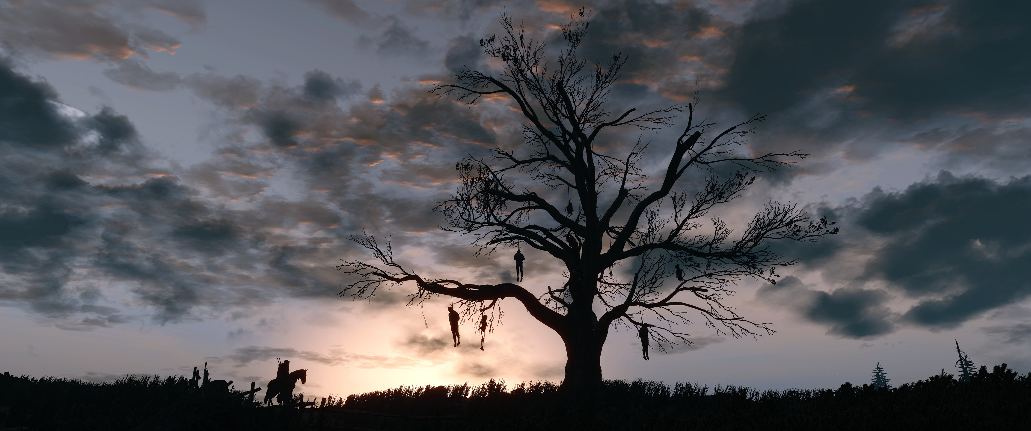 Witcher 3 Hanged Man Tree - HD Wallpaper 