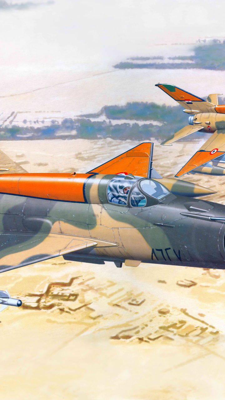 Mig, Aviation, Fighter, Egypt, The Mig-21, The Plane - 1 48mig 21 - HD Wallpaper 