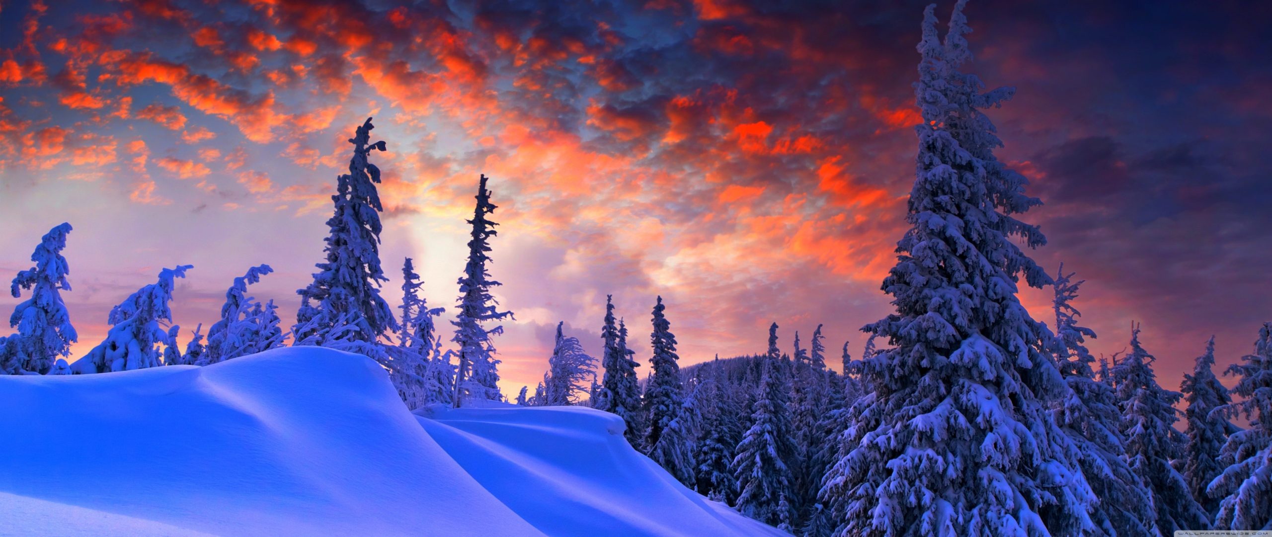 Ultra Wide - HD Wallpaper 