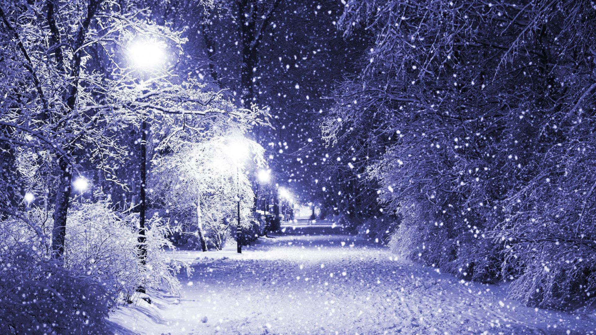 Hiver Fond Ecran Hd Beautiful Winter Background 19x1080 Wallpaper Teahub Io
