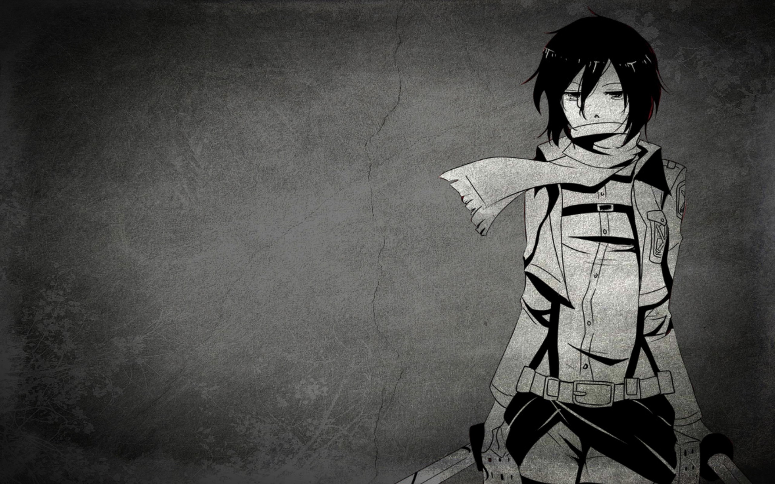 Shingeki No Kyojin - HD Wallpaper 