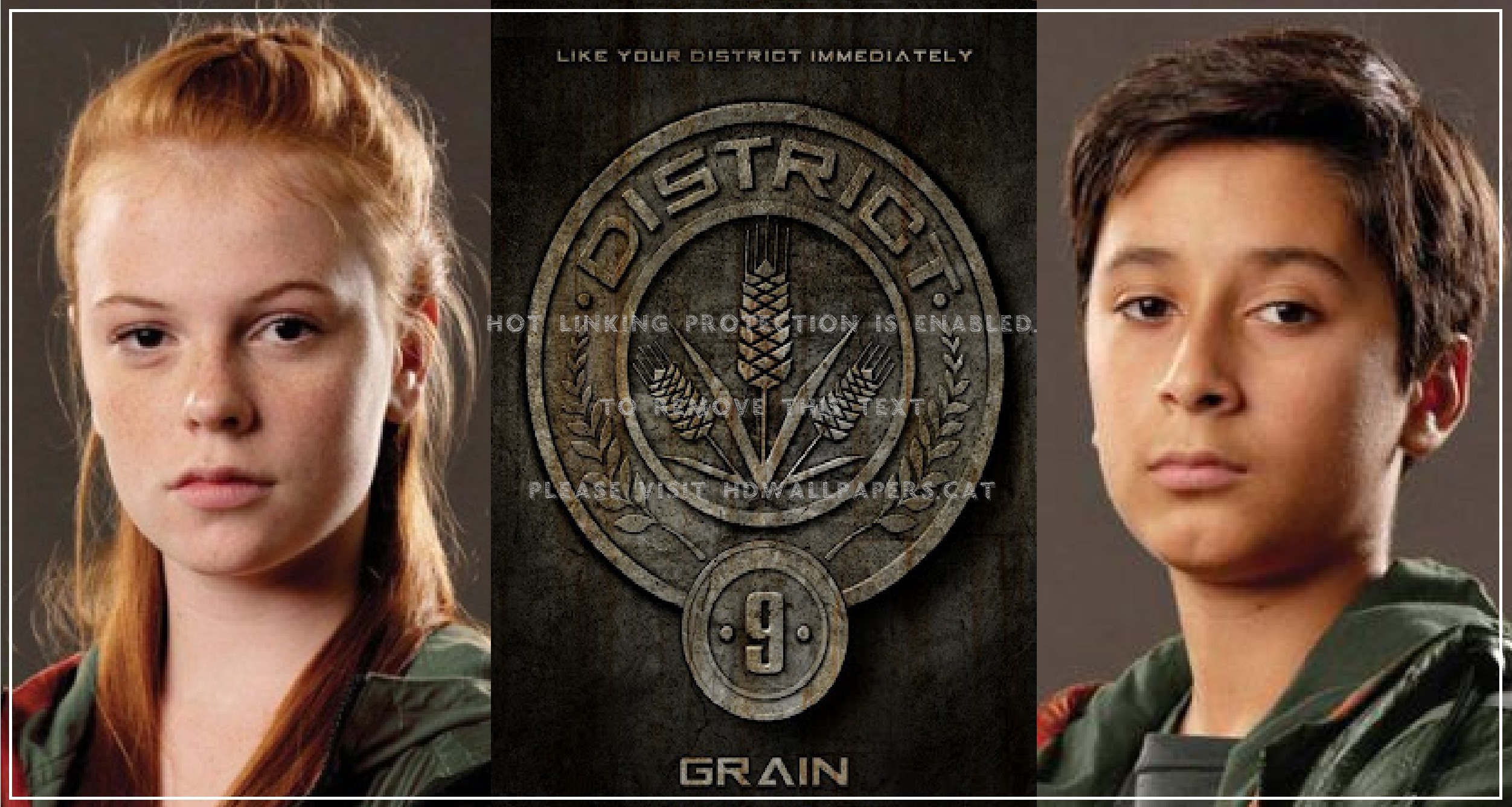 District 9 Tributes Male The Hunger Games - Hunger Games District 9 Tributes Names - HD Wallpaper 