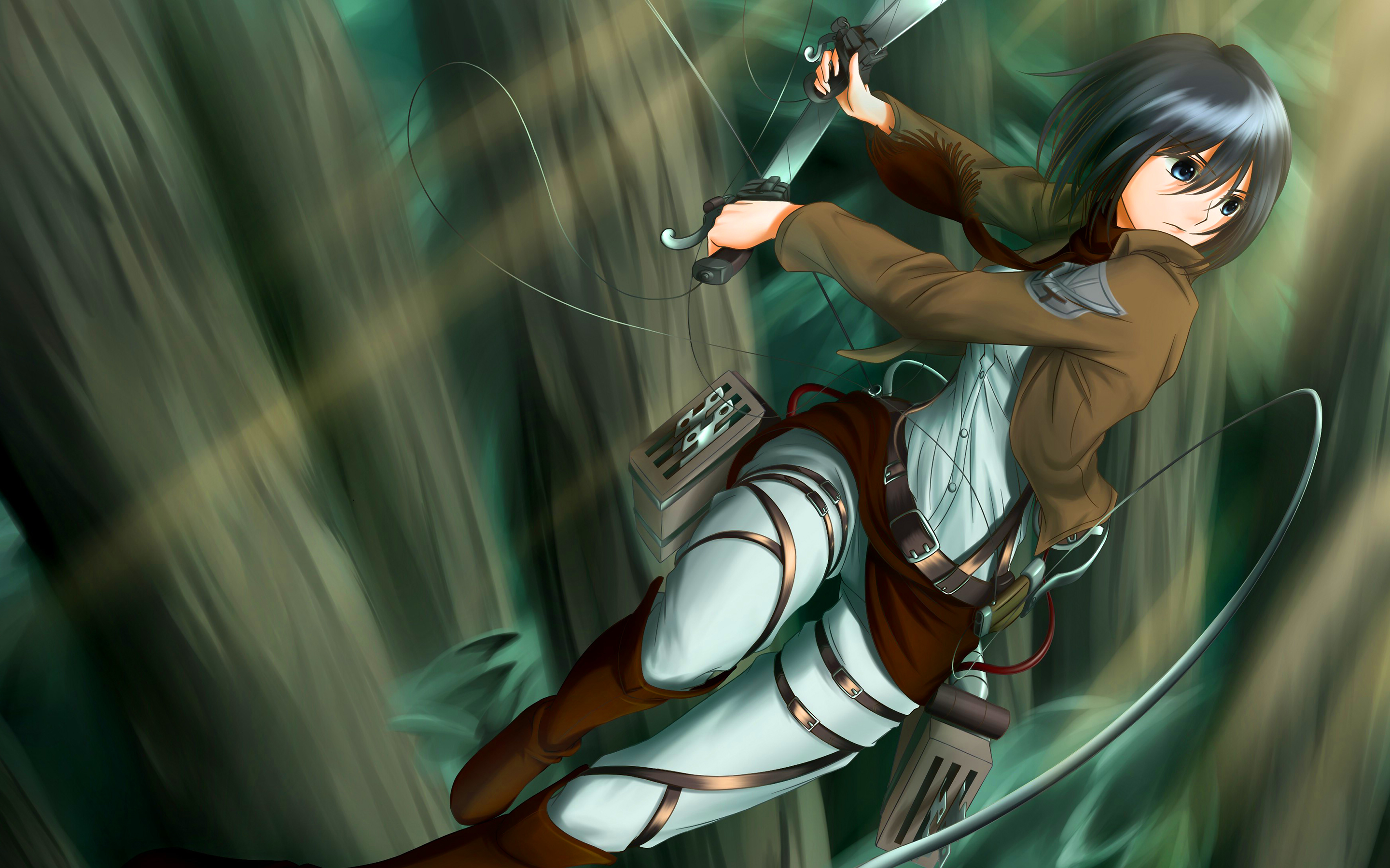 Shingeki No Kyojin Girl - HD Wallpaper 