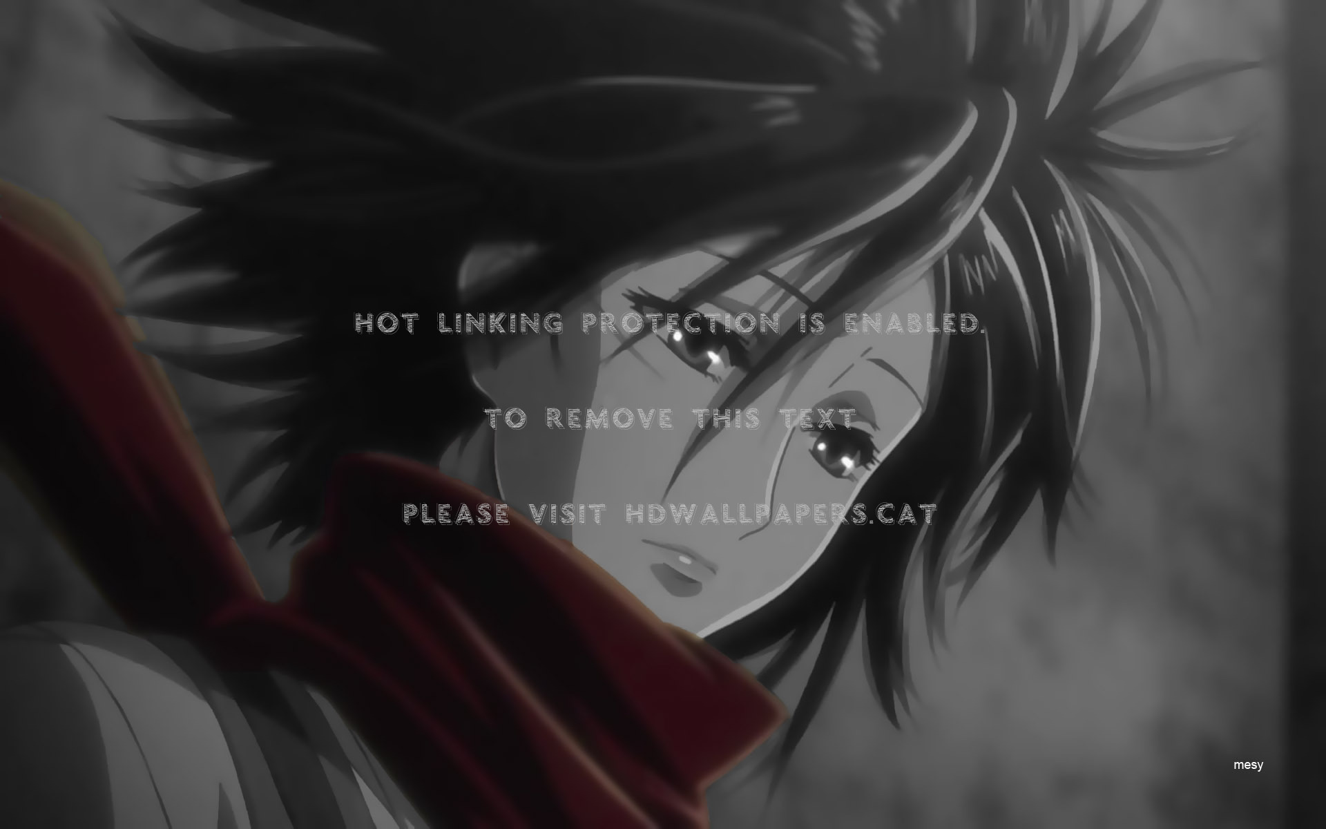 Mikasa Ackerman-attack On Titan Red No Mesy - Mikasa Ackerman Wallpaper Anime - HD Wallpaper 