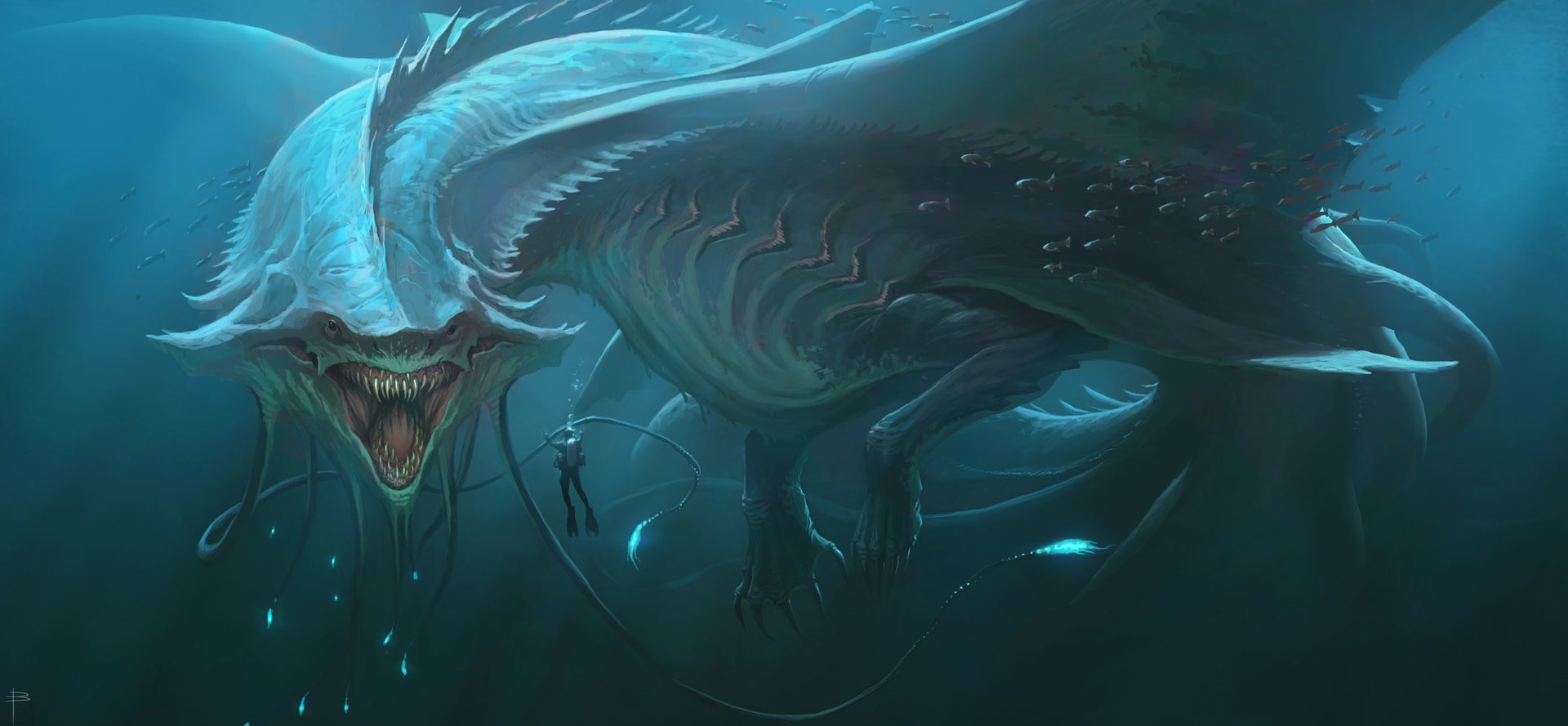 Sea Creature Wallpaper - HD Wallpaper 