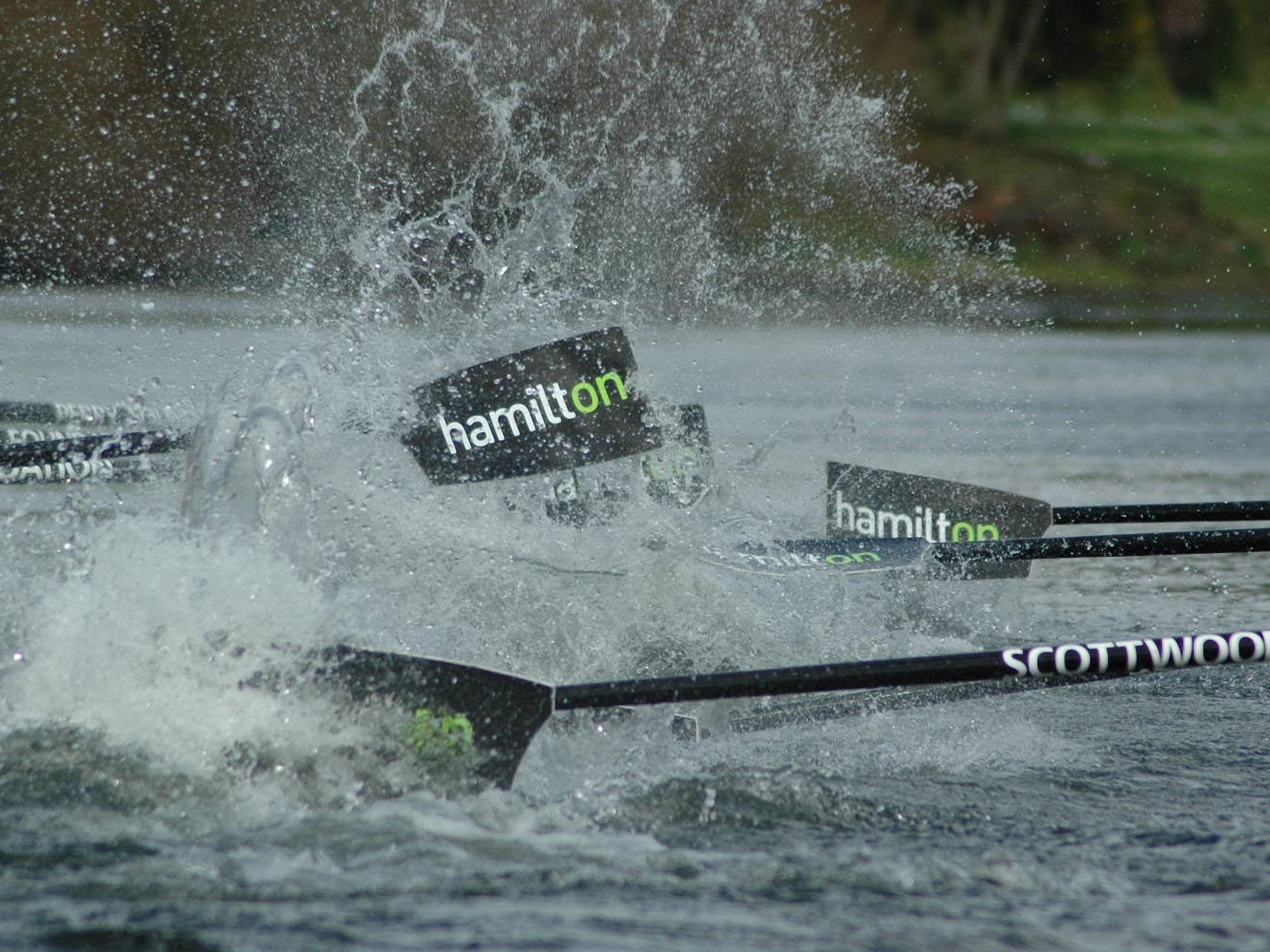 Rowing - V - 2 - 8 496 - 8 Kbytes, - Rowing - HD Wallpaper 