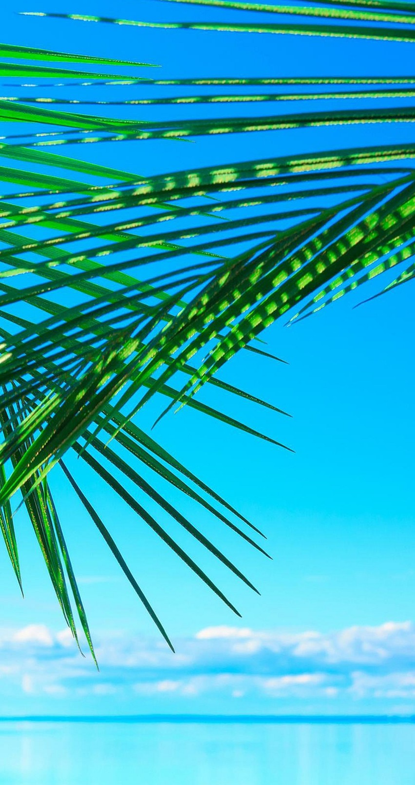 Summer Wallpaper For Iphone - Iphone 6 Wallpaper Hd Summer - HD Wallpaper 