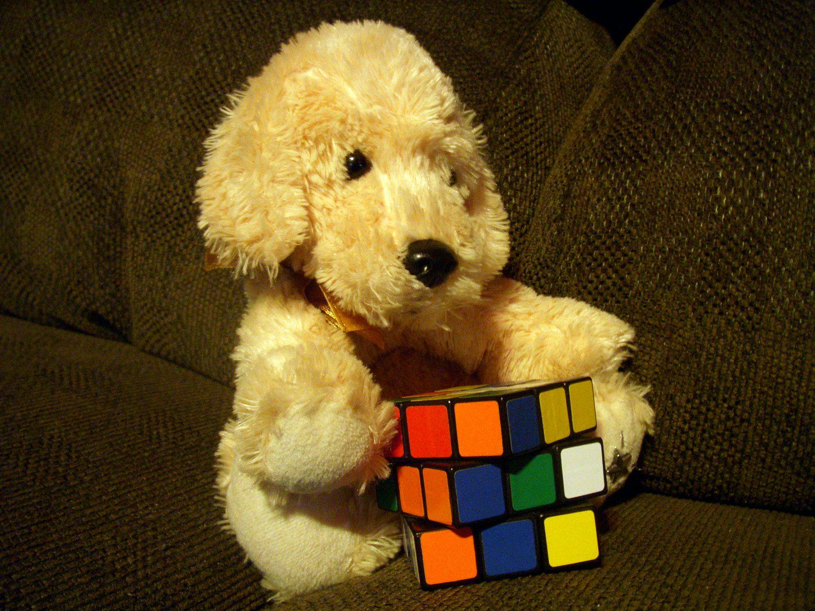 Hd Couch Dogs Puppies Stuffed Animals Rubiks Cube Desktop - Rubik's Cube - HD Wallpaper 