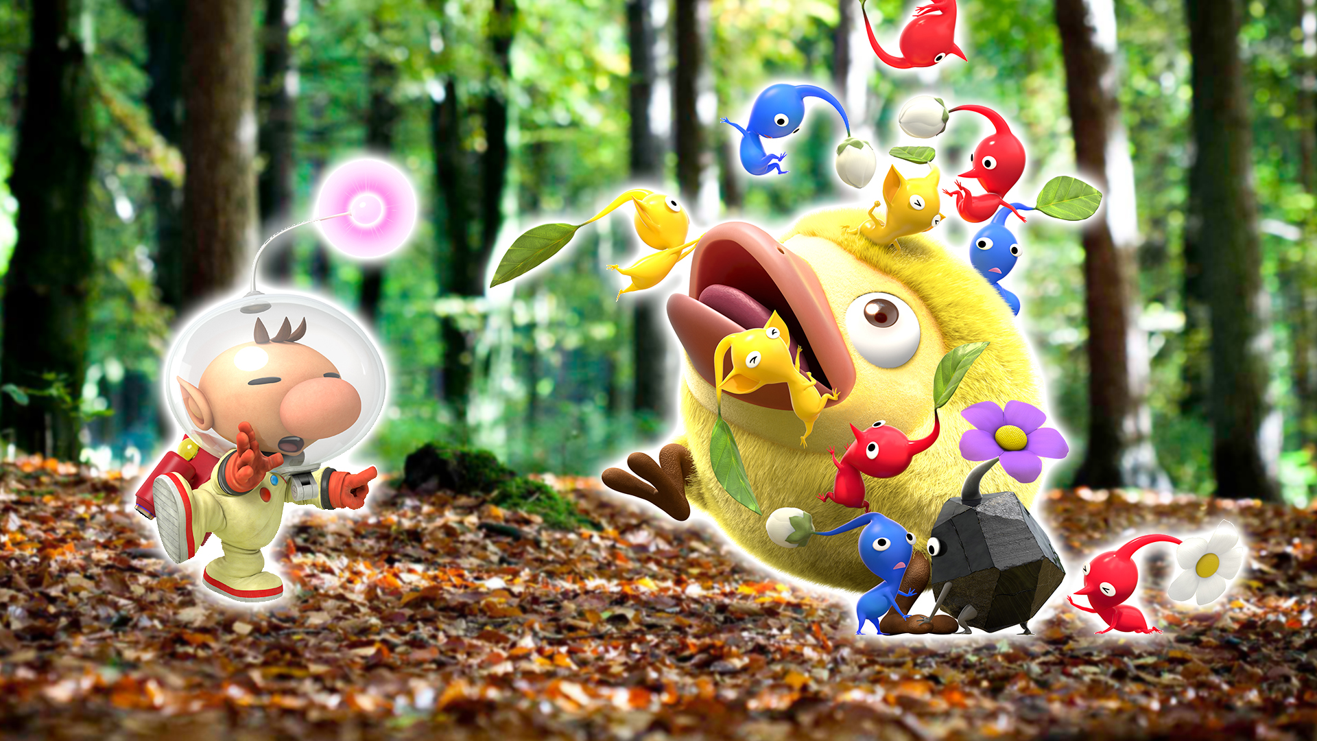 Pikmin Hey - HD Wallpaper 