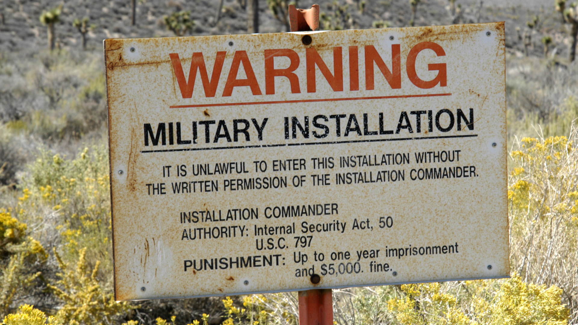 Works At Area 51 - HD Wallpaper 