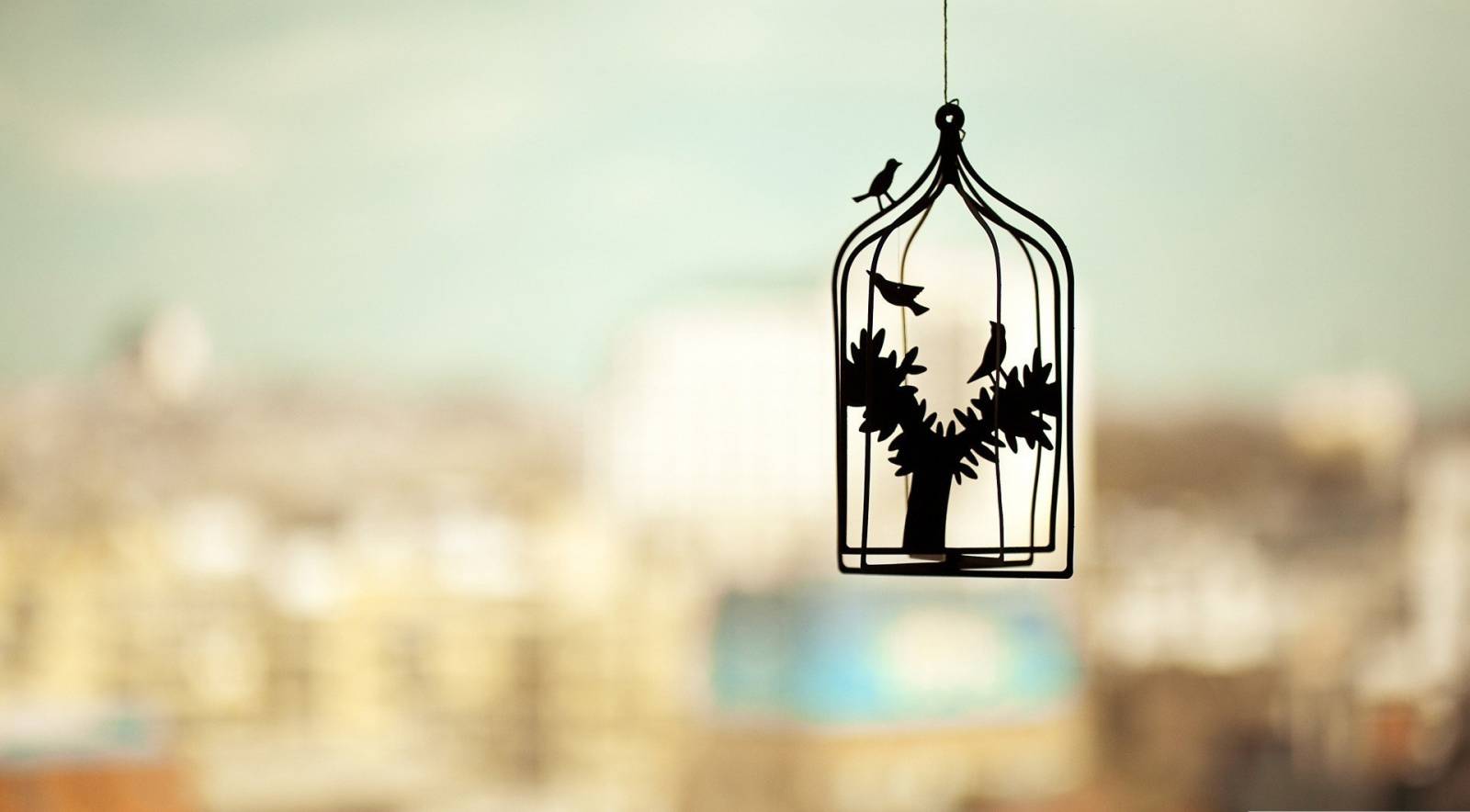 Still Life Photography - Yes I Am Alone - HD Wallpaper 