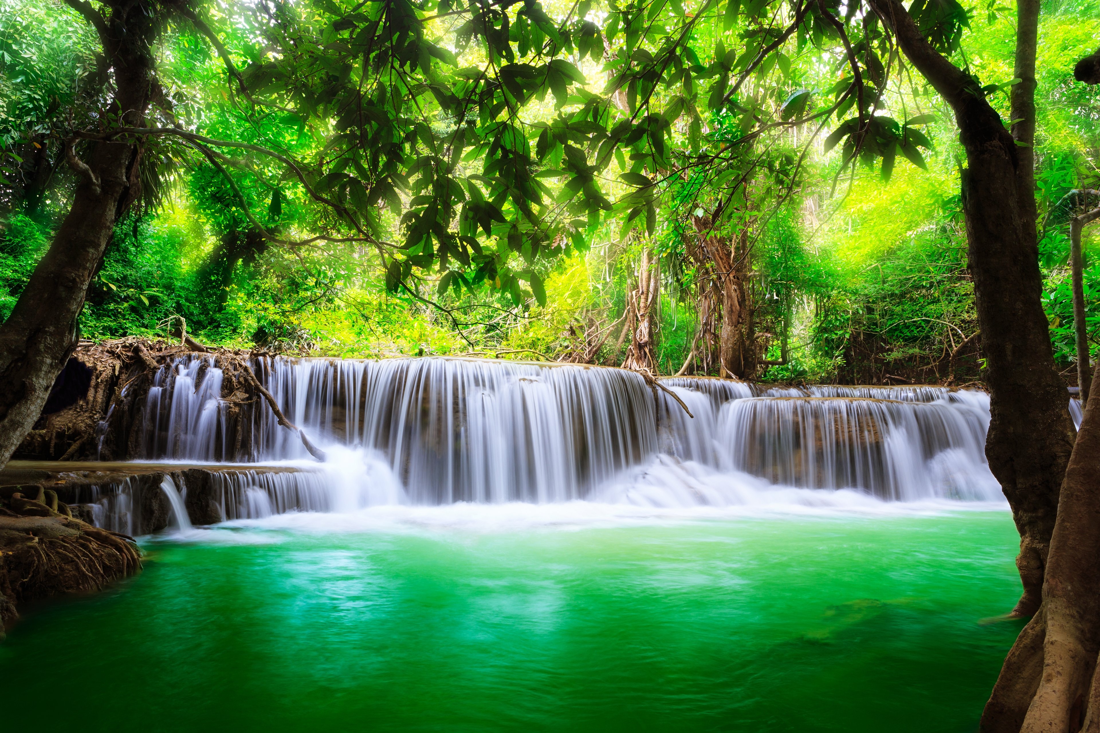 Spring Landscape Wallpaper - HD Wallpaper 