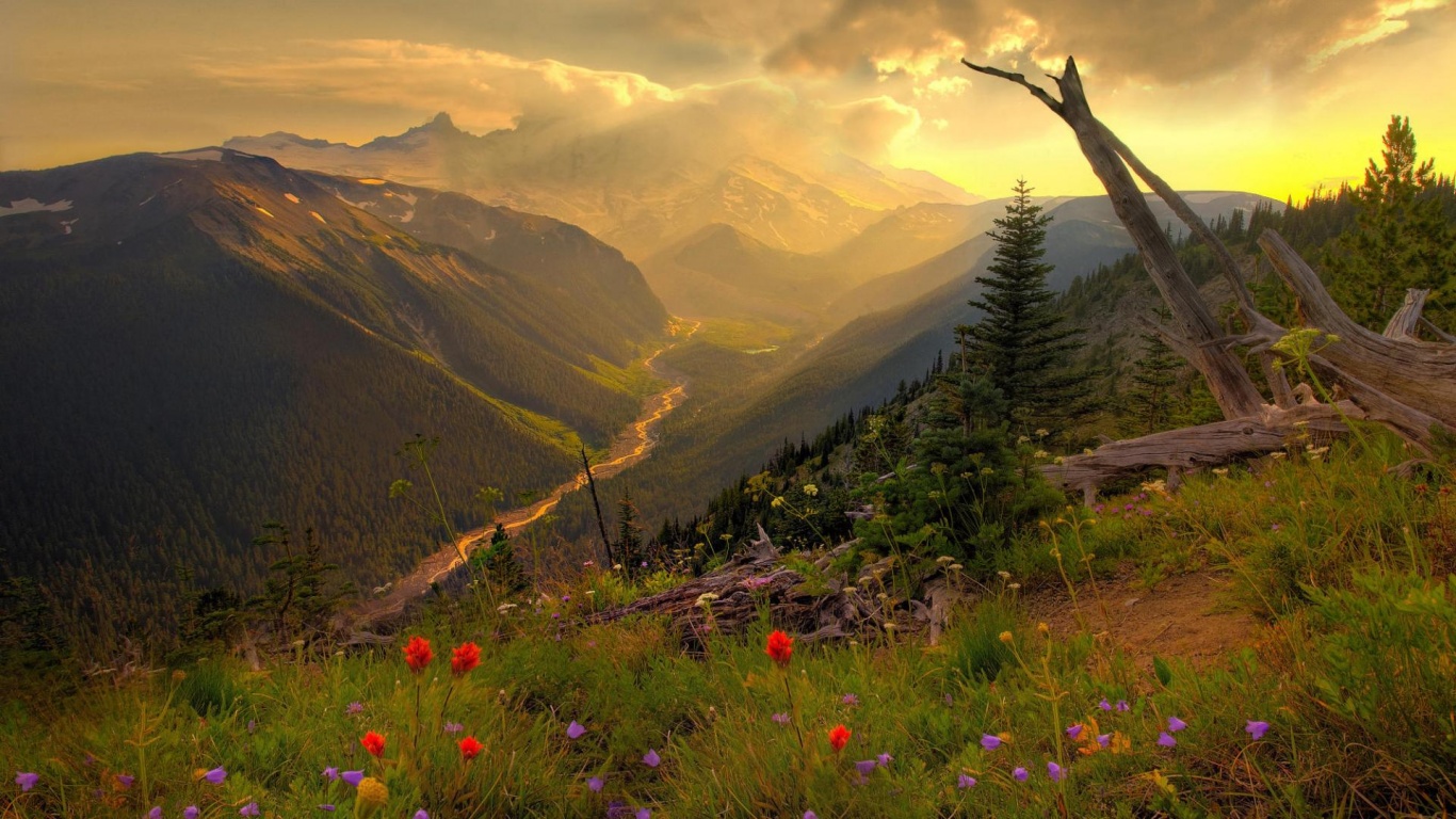 Spring Landscapes - Nature Wallpaper 4k - HD Wallpaper 