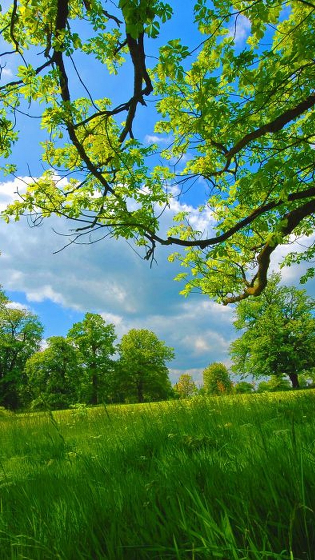Iphone Wallpaper Spring Images With High-resolution - HD Wallpaper 