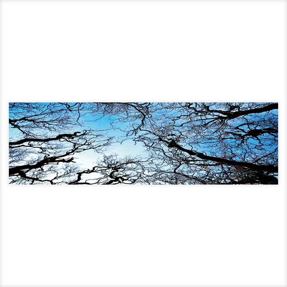 Backgrounds Auraisehome Background Fish Tank Decorations - Tree - HD Wallpaper 