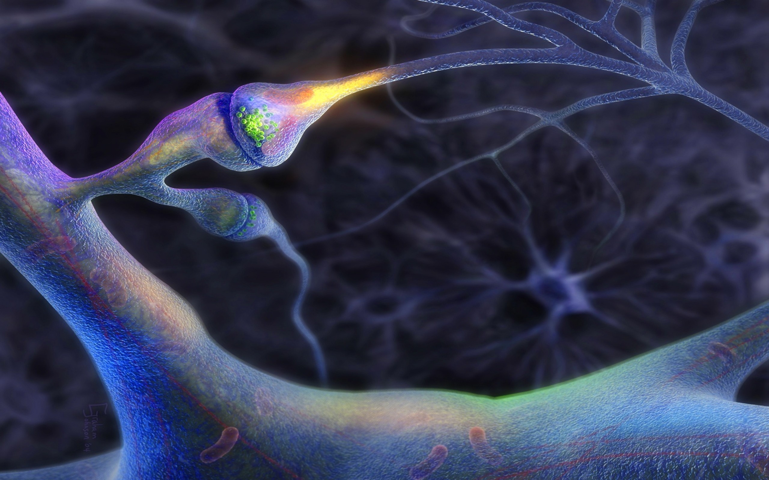 Brain Neurons Nerves 1920×1200 Wallpaper Art Hd Wallpaper - HD Wallpaper 