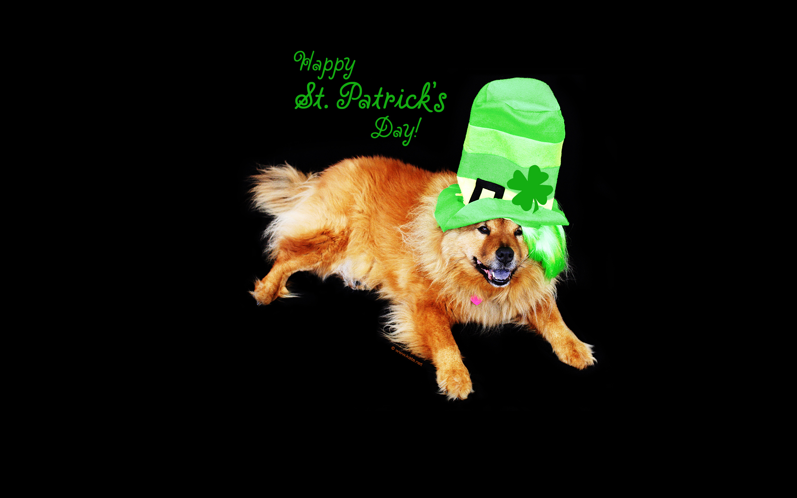 Saint Patrick's Day - HD Wallpaper 