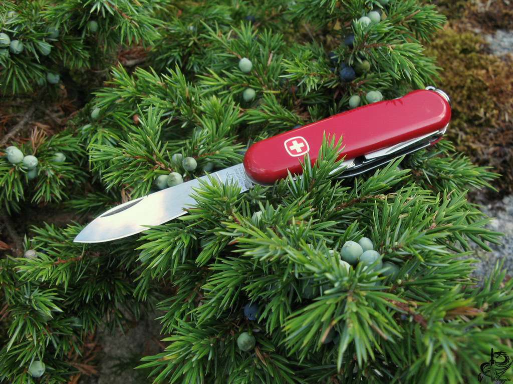 Christmas Tree - HD Wallpaper 