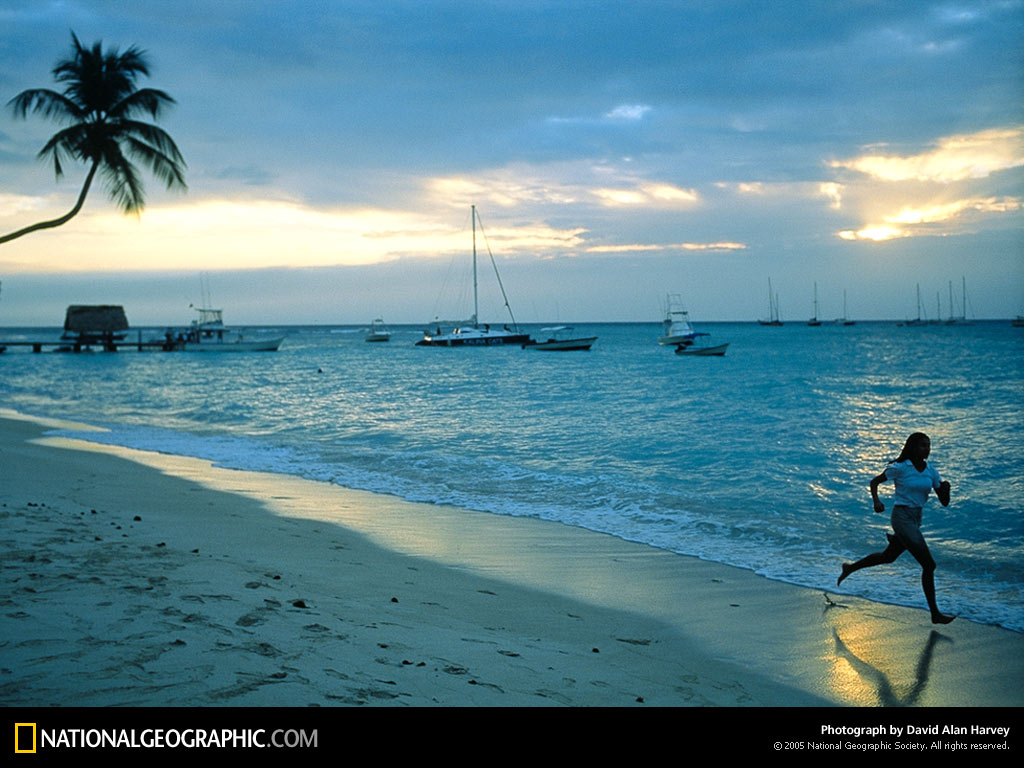 National Geographic Wallpaper Beaches - Inside The Mafia (2005) - HD Wallpaper 