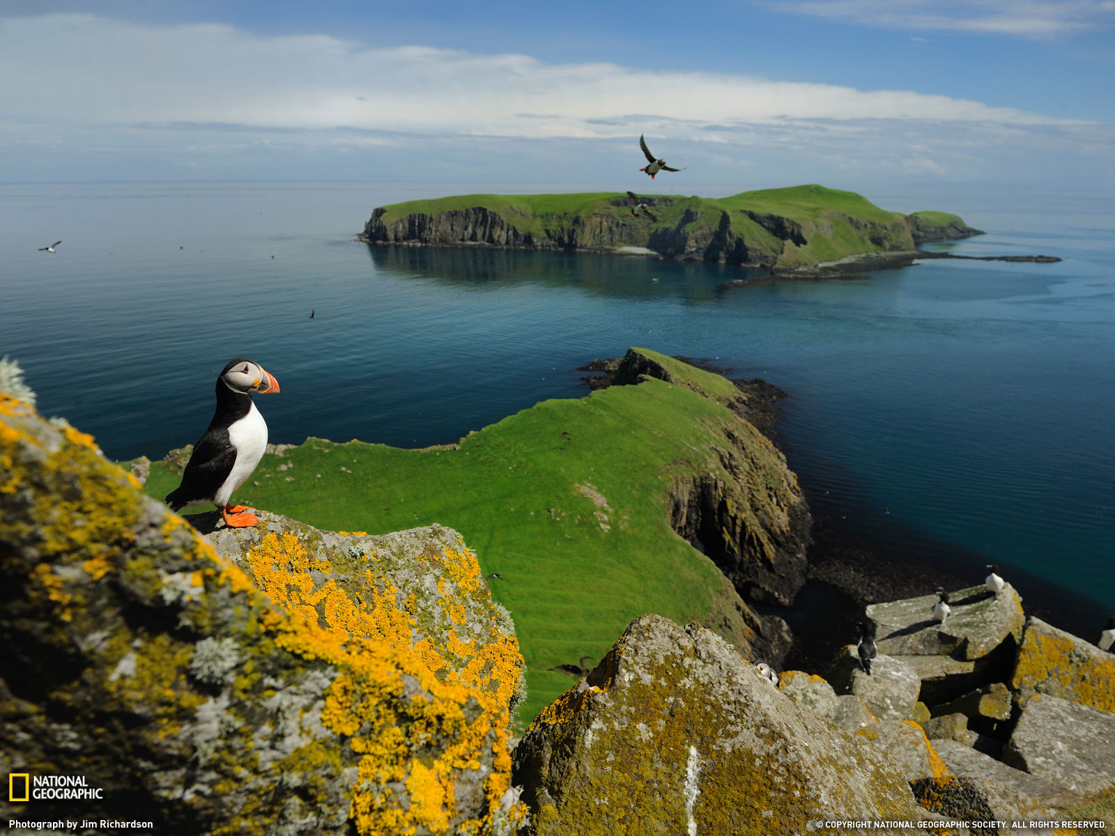 Puffin Shian Island - Puffin Island National Geographic - HD Wallpaper 