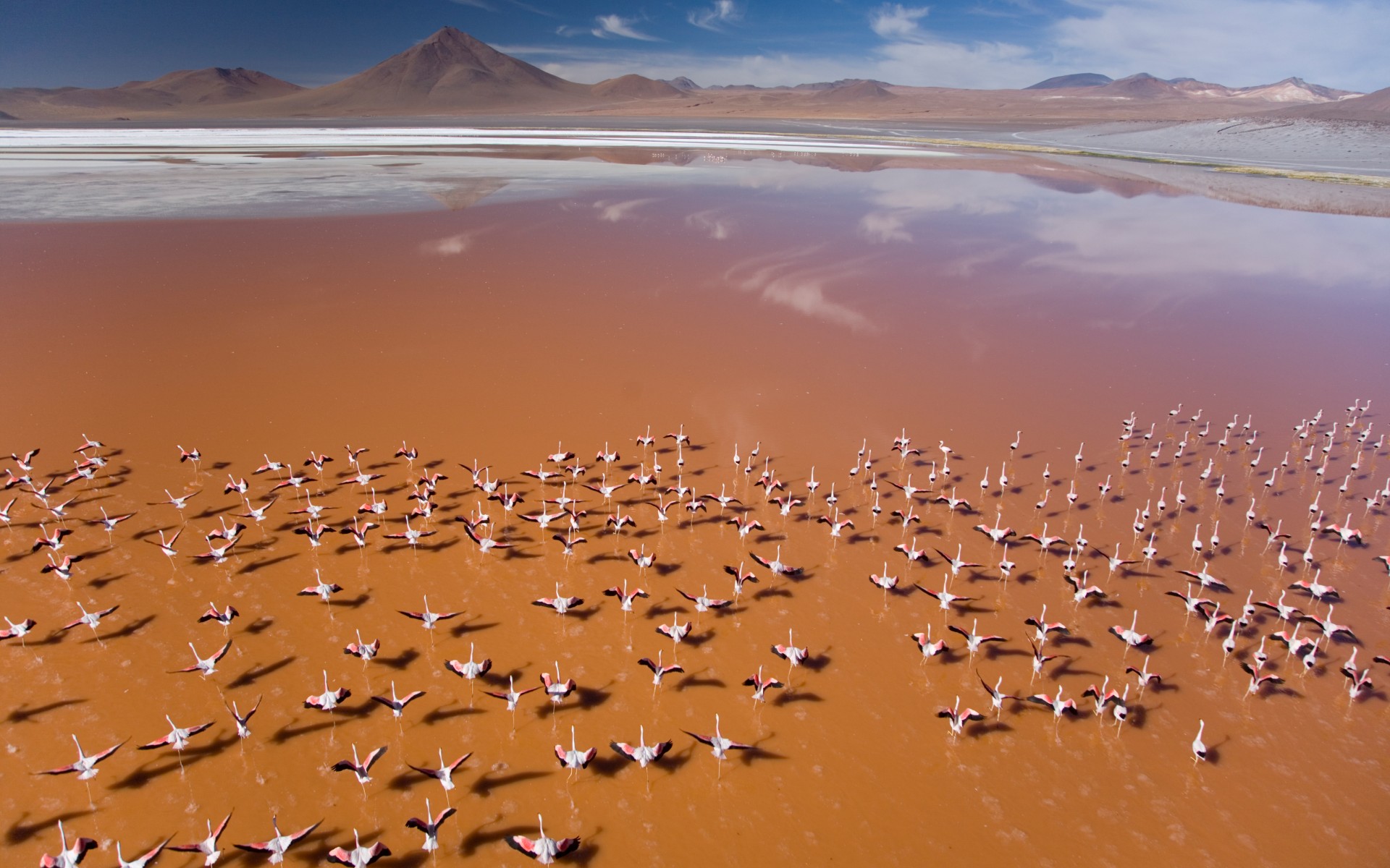 Natgeo05 - Atacama Desert Of South America - HD Wallpaper 