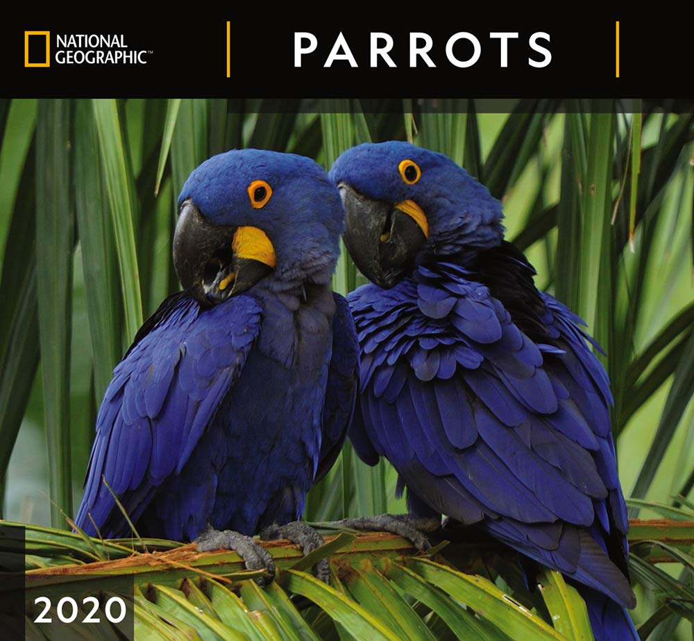 National Geographic - HD Wallpaper 