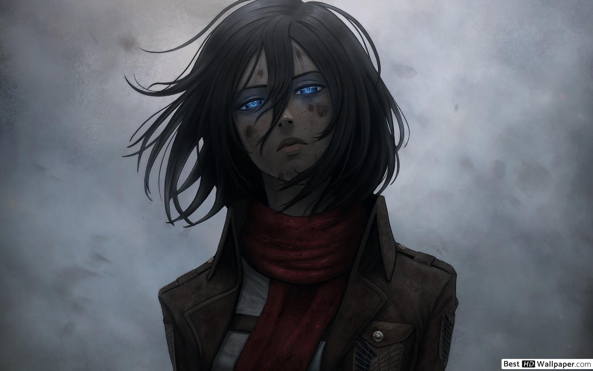 Mikasa Ackerman Wallpaper Phone - HD Wallpaper 