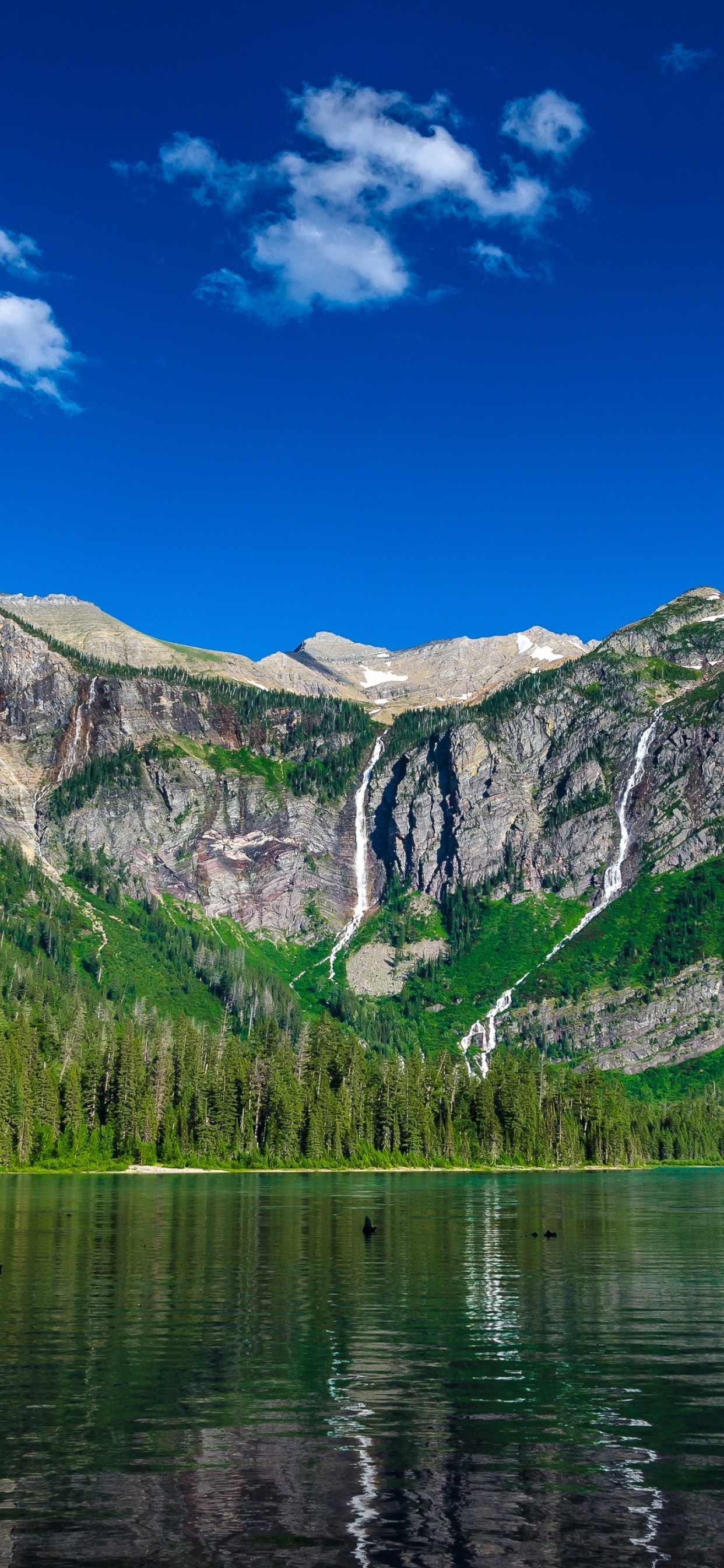 Glacier National Park, Avalanche Lake, Montana, United - Glacier National Park - HD Wallpaper 