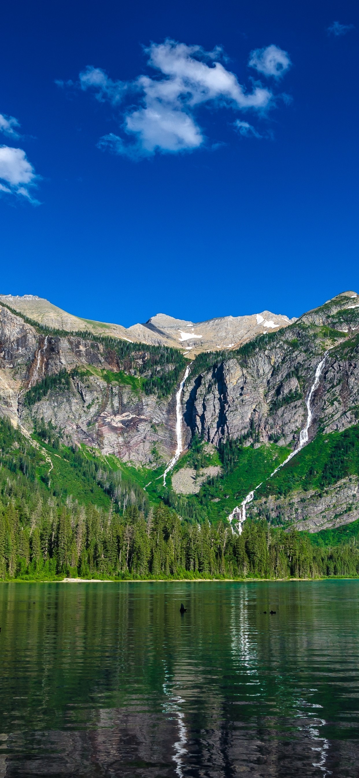 Glacier National Park, Avalanche Lake, Montana, United - Glacier National Park - HD Wallpaper 