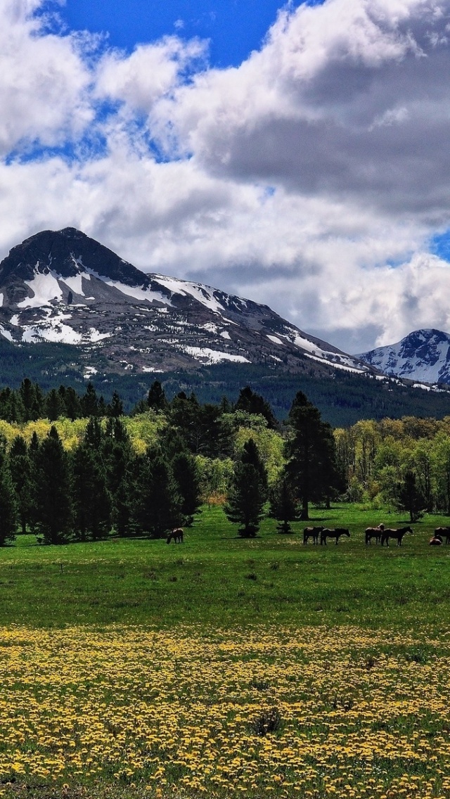 Glacier National Park - HD Wallpaper 
