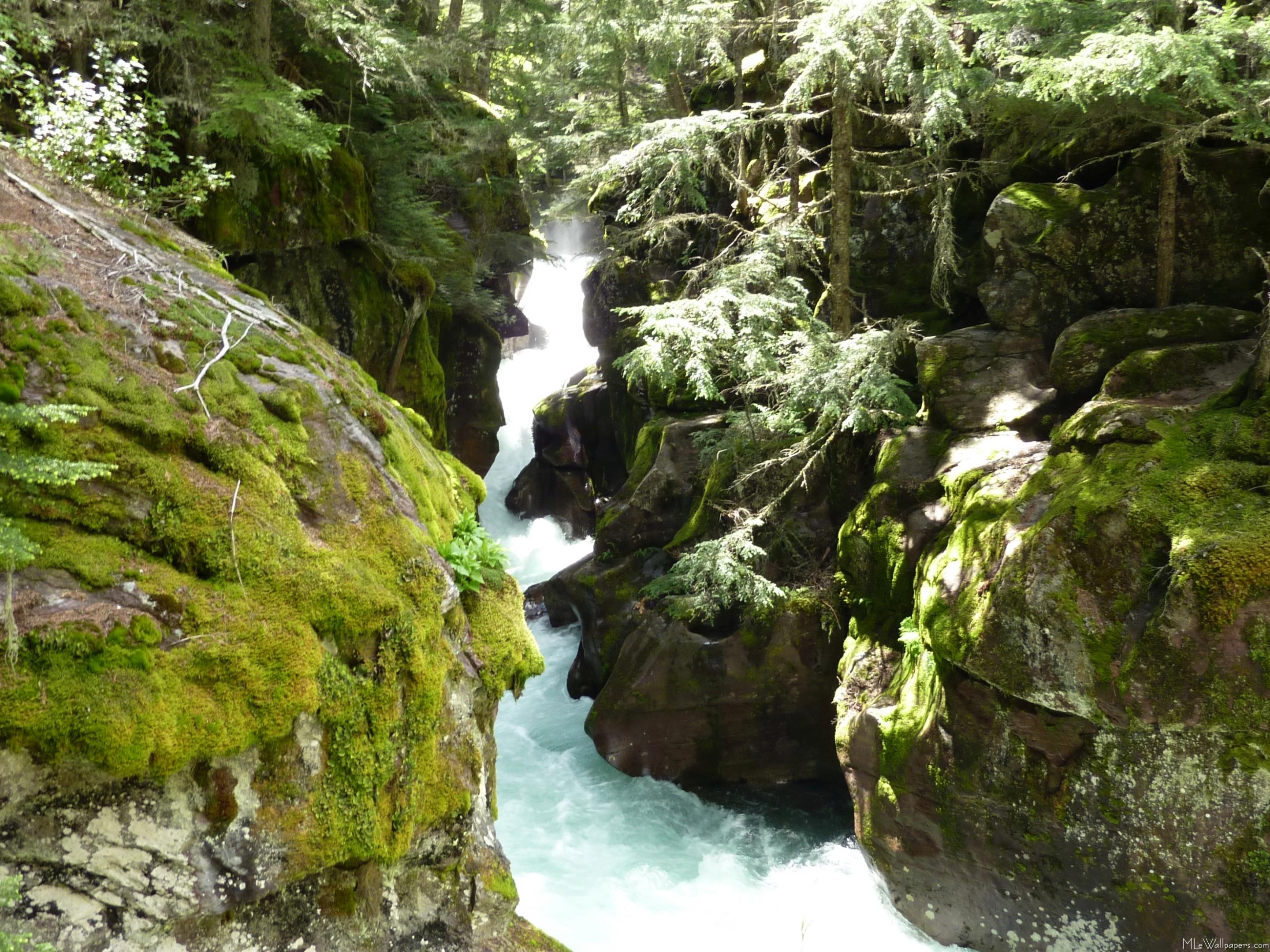 Avalanche Gorge Ii - Tributary - HD Wallpaper 