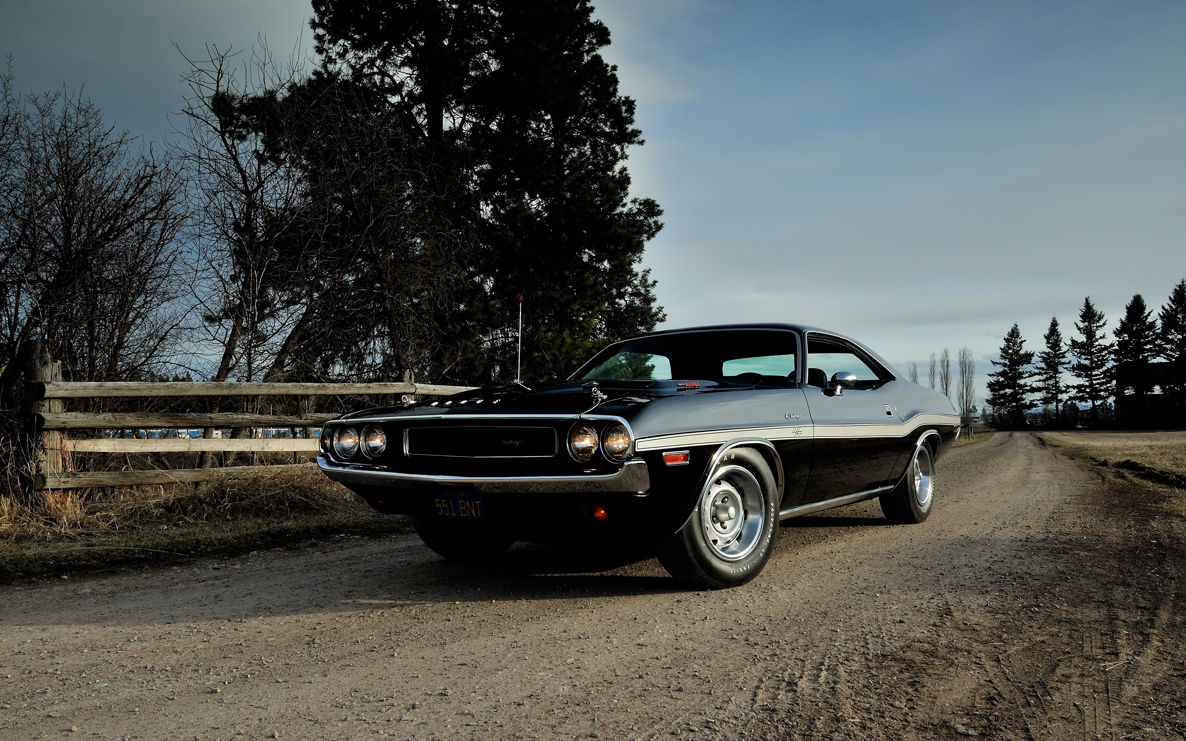 Dodge Challenger 1970 - HD Wallpaper 