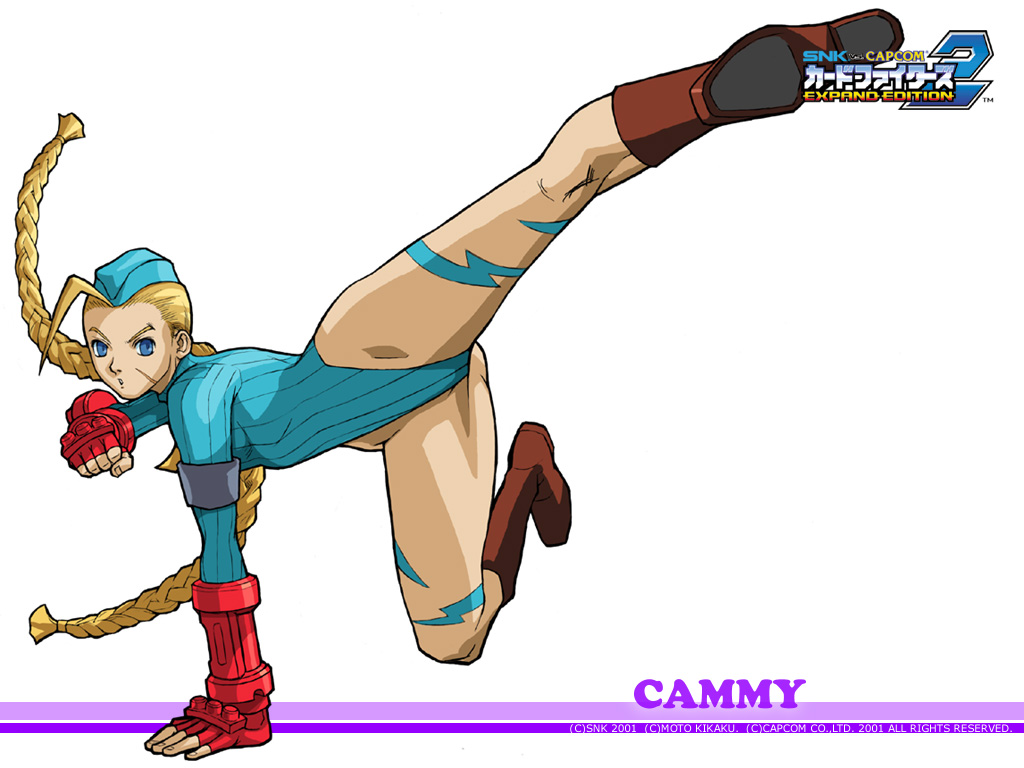 Street Fighter Cammy Kick - HD Wallpaper 