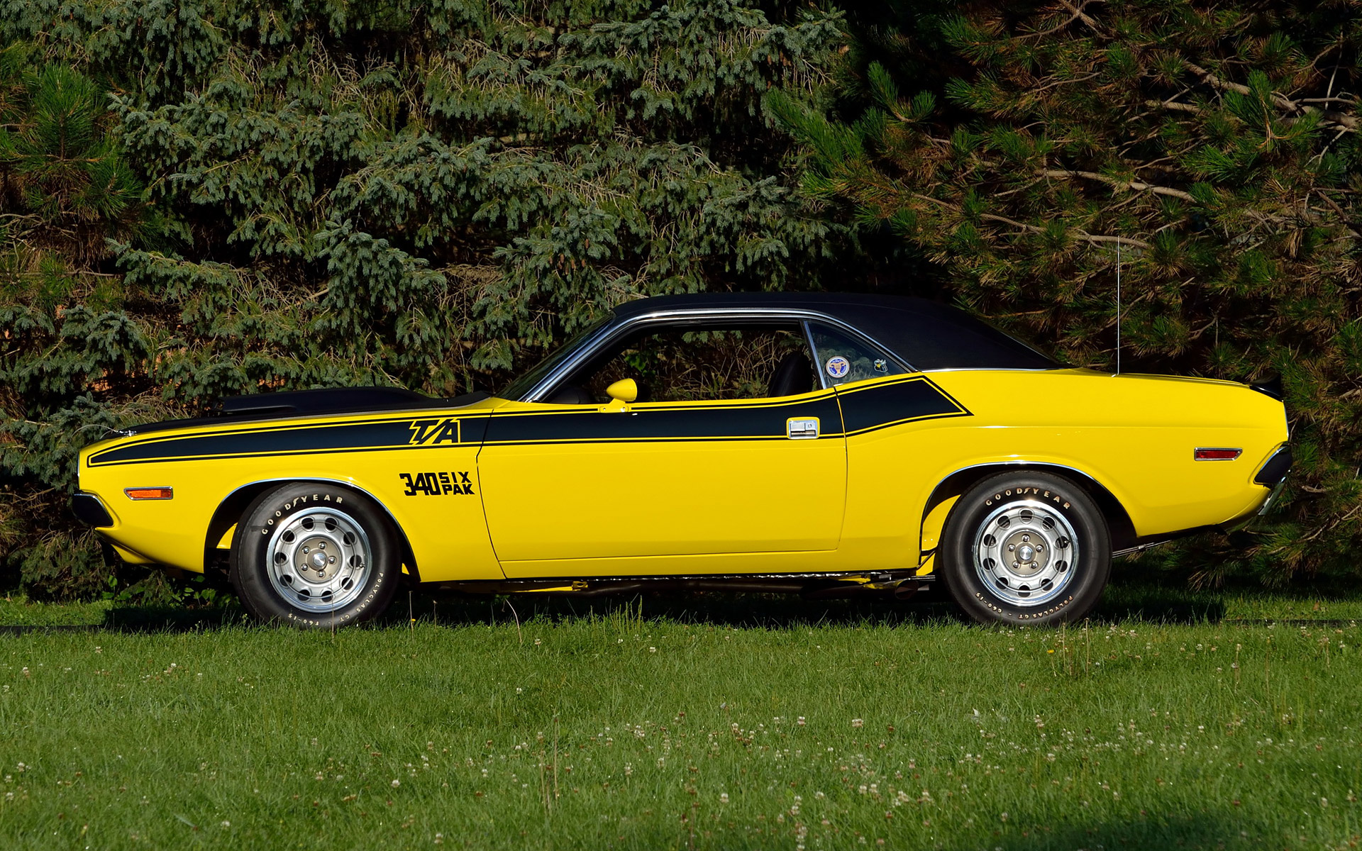 1970 Dodge Challanger Ta - HD Wallpaper 