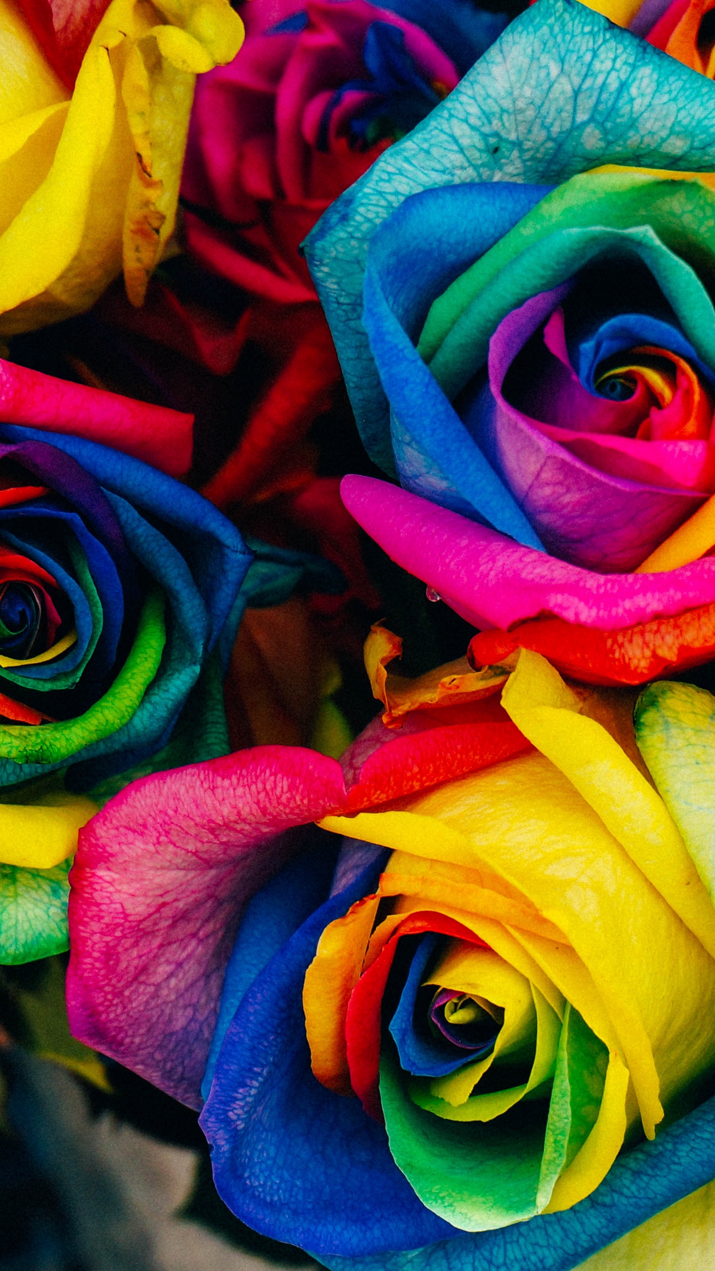 Wallpaper Roses, Colorful, Rainbow - Rainbow Background For Iphone - HD Wallpaper 