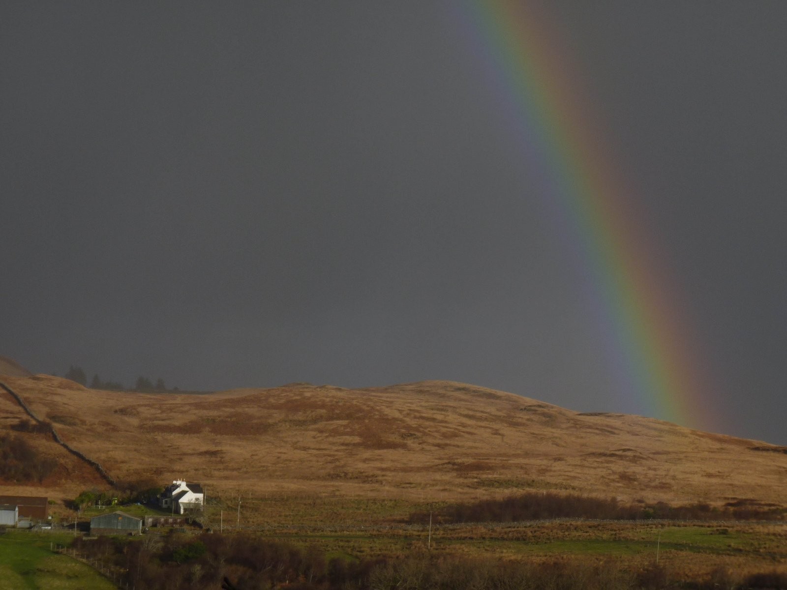 Rainbow - HD Wallpaper 