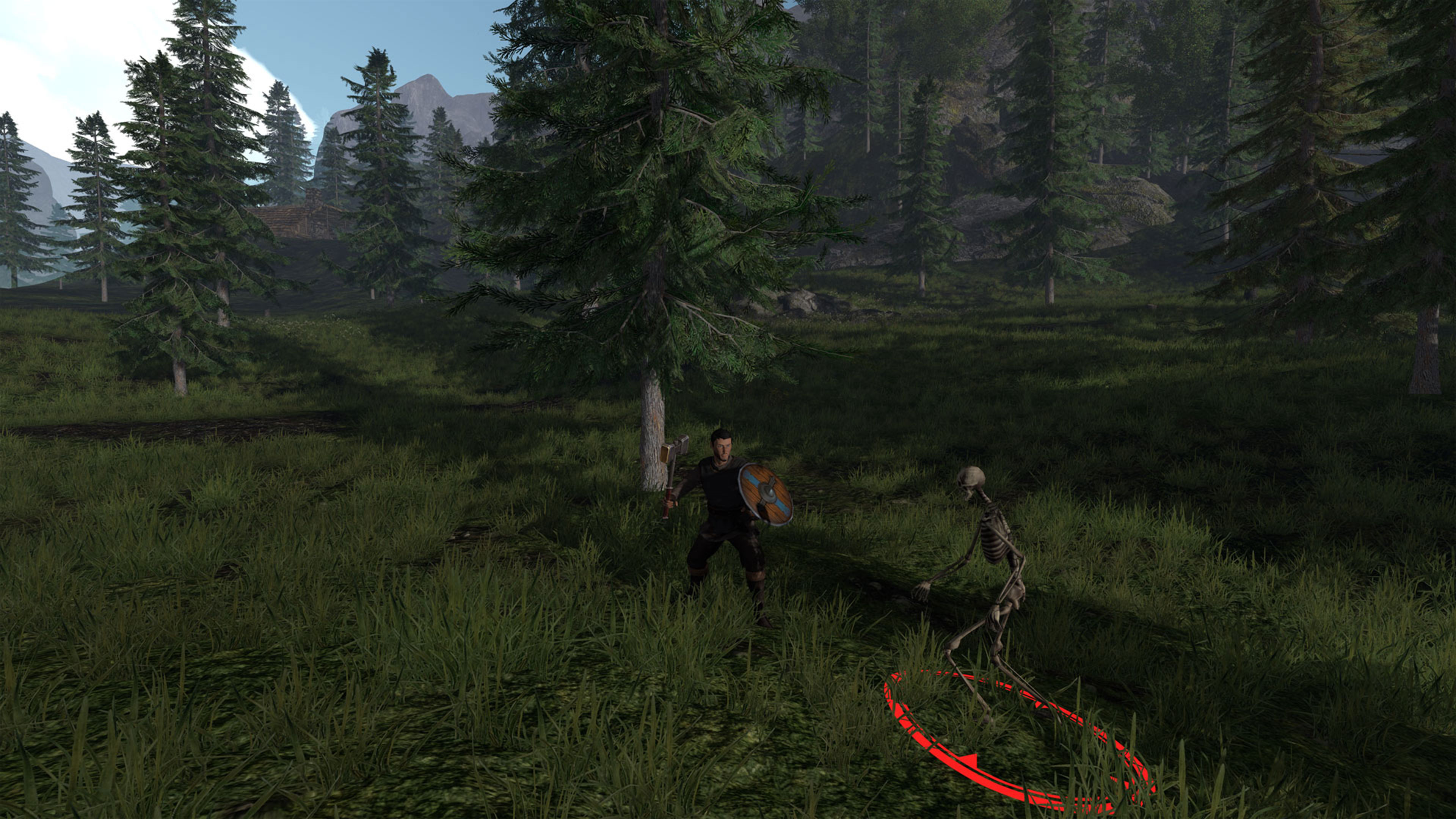 Spruce-fir Forest - HD Wallpaper 