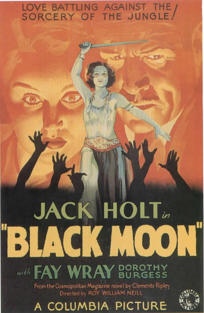 Black Moon - HD Wallpaper 