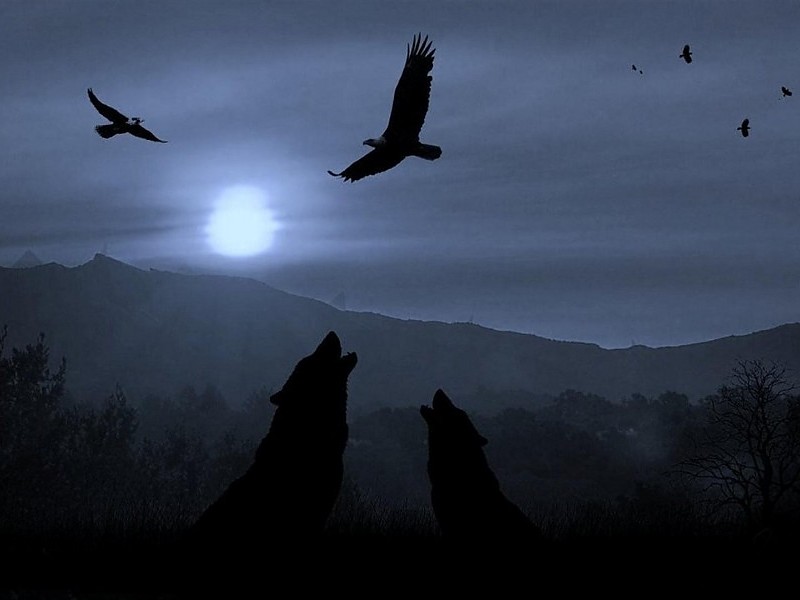 Wolves Dark Moon Wallpaper - HD Wallpaper 