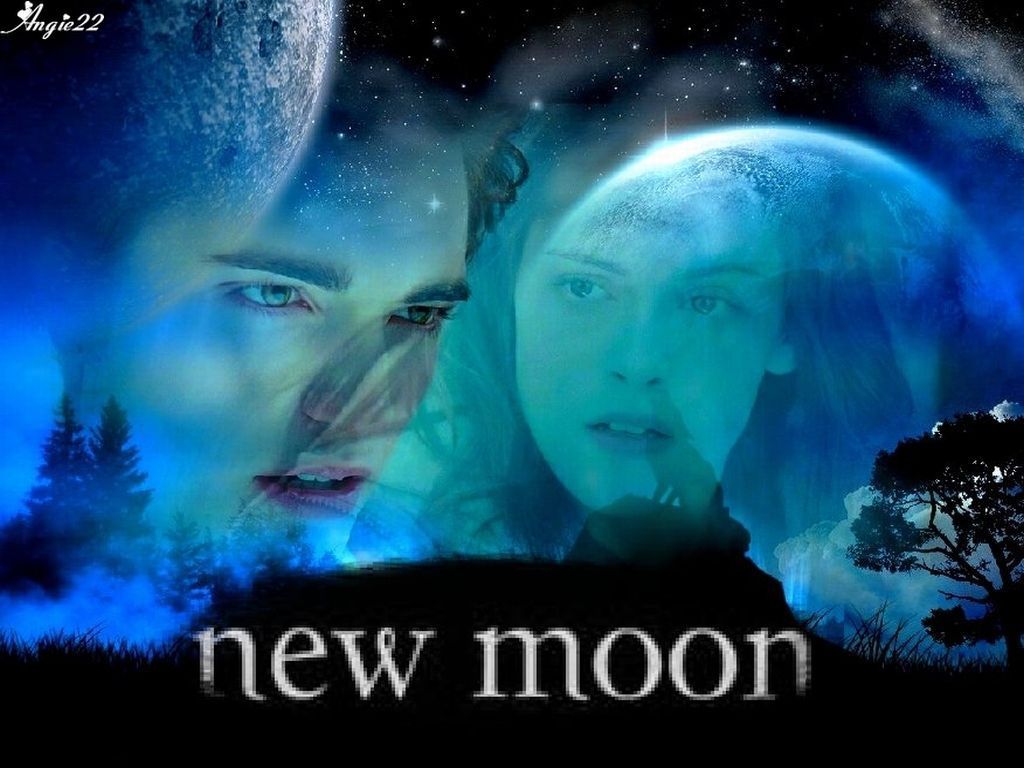 New Moon - Wolf Looking At The Moon - HD Wallpaper 