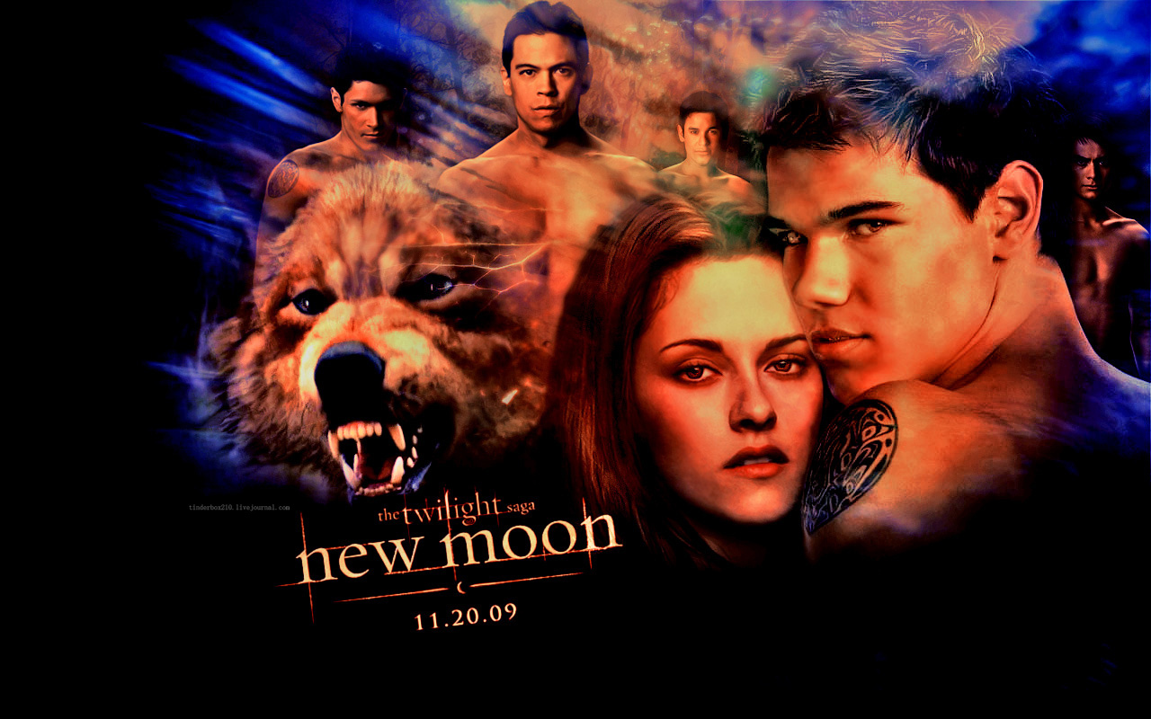 Twilight New Moon - HD Wallpaper 